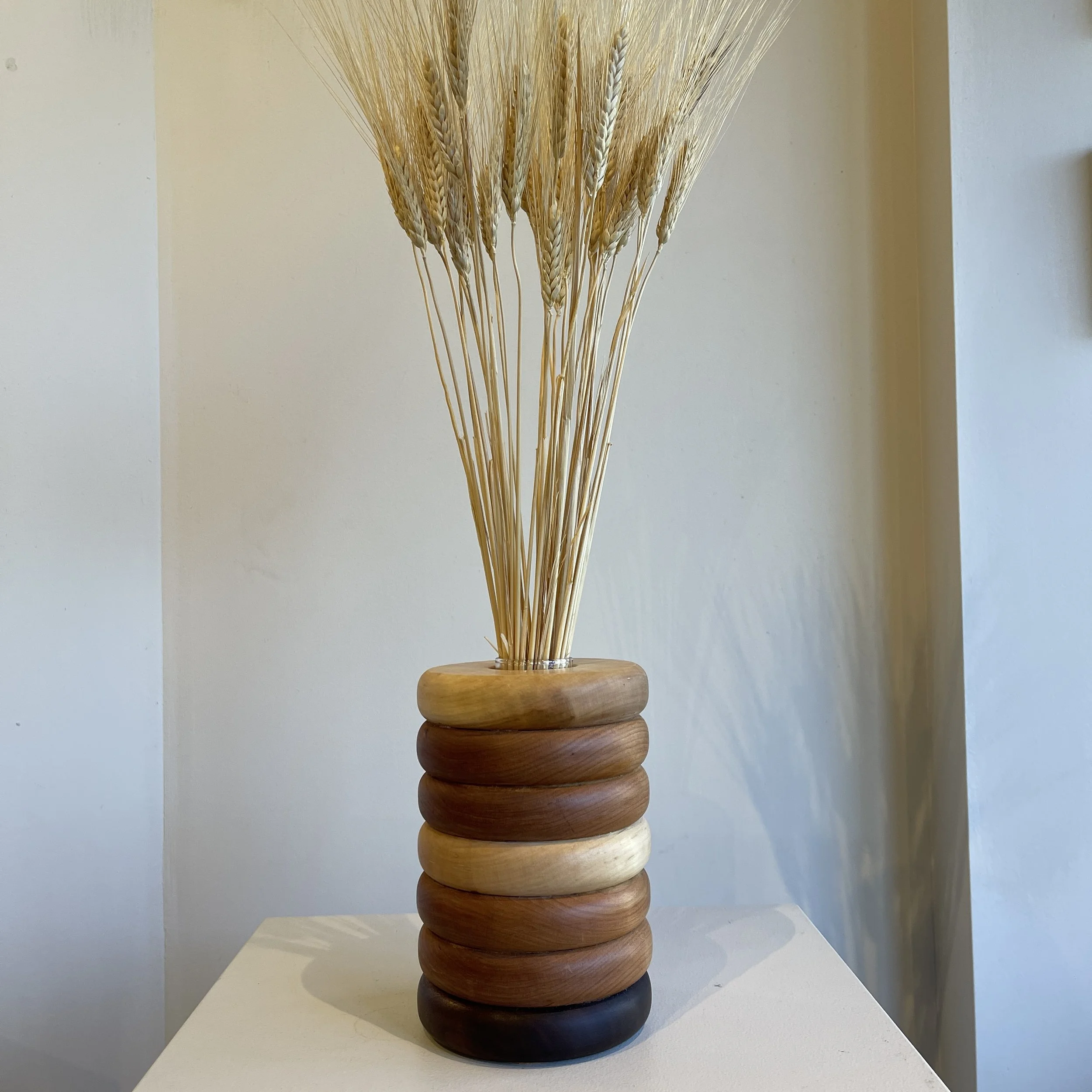 Ira Papick, Not Gluten Free.jpg