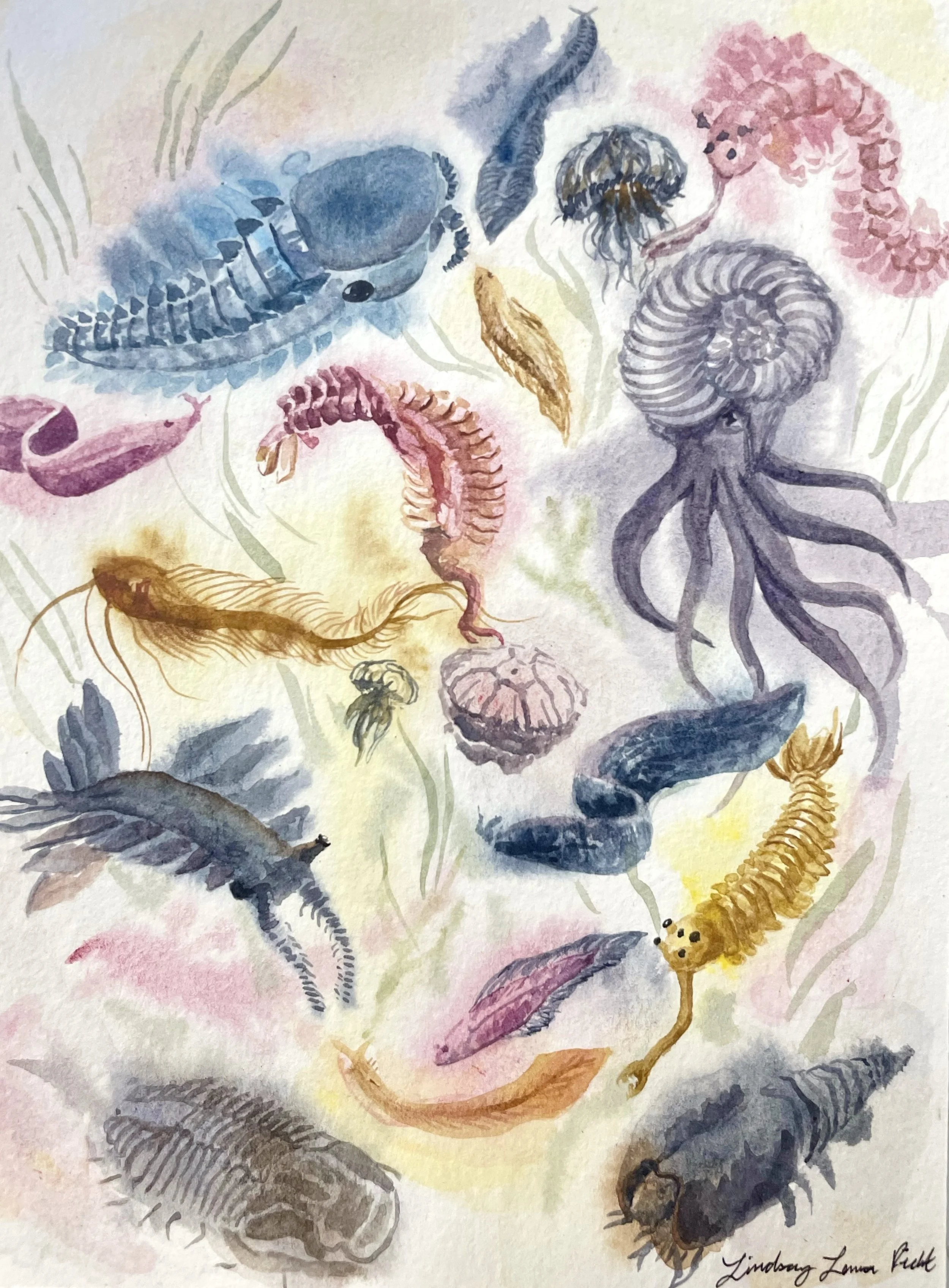 Lindsay Picht, Cambrian.jpg