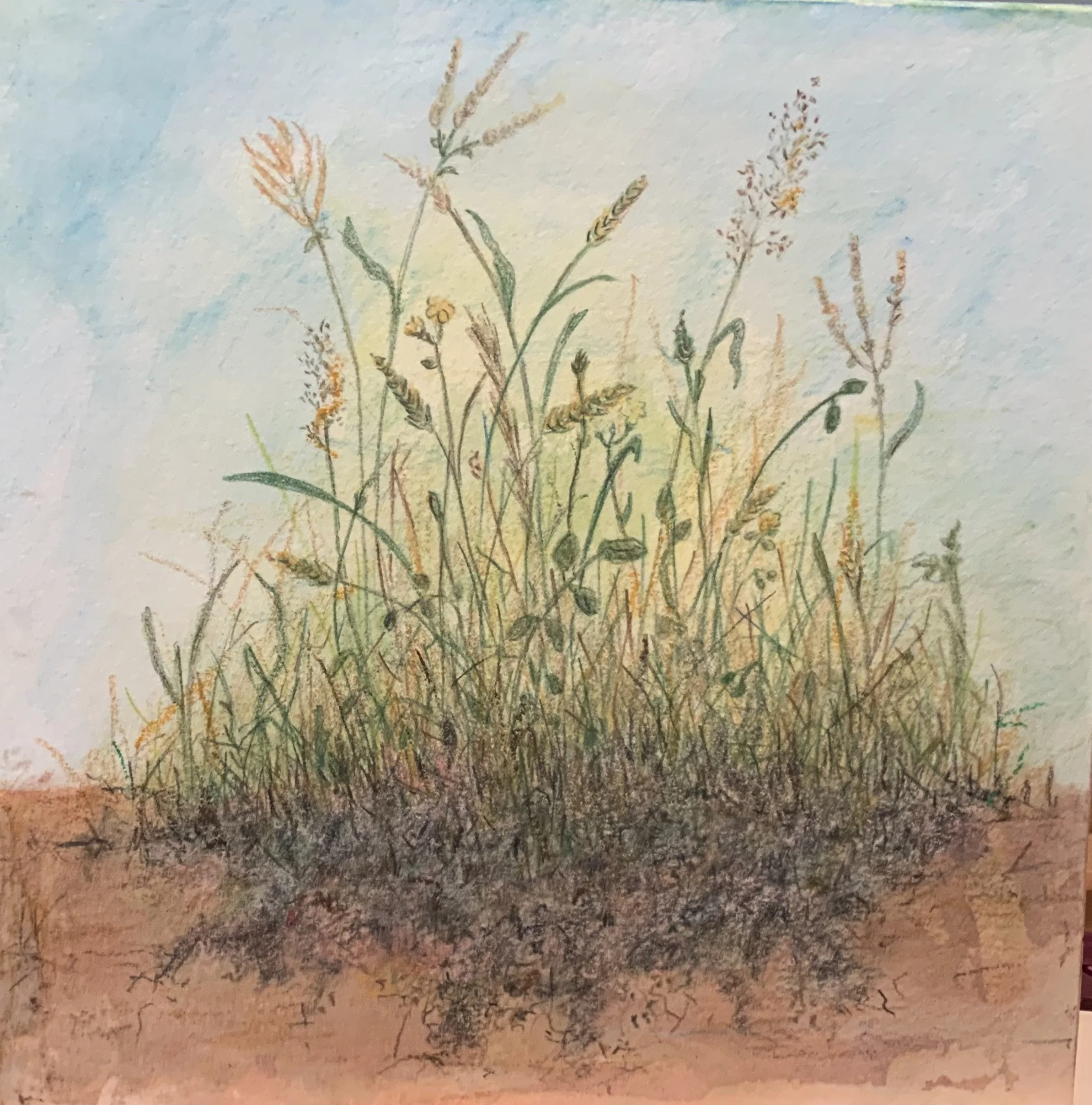 Susan Mart, Bog.jpeg