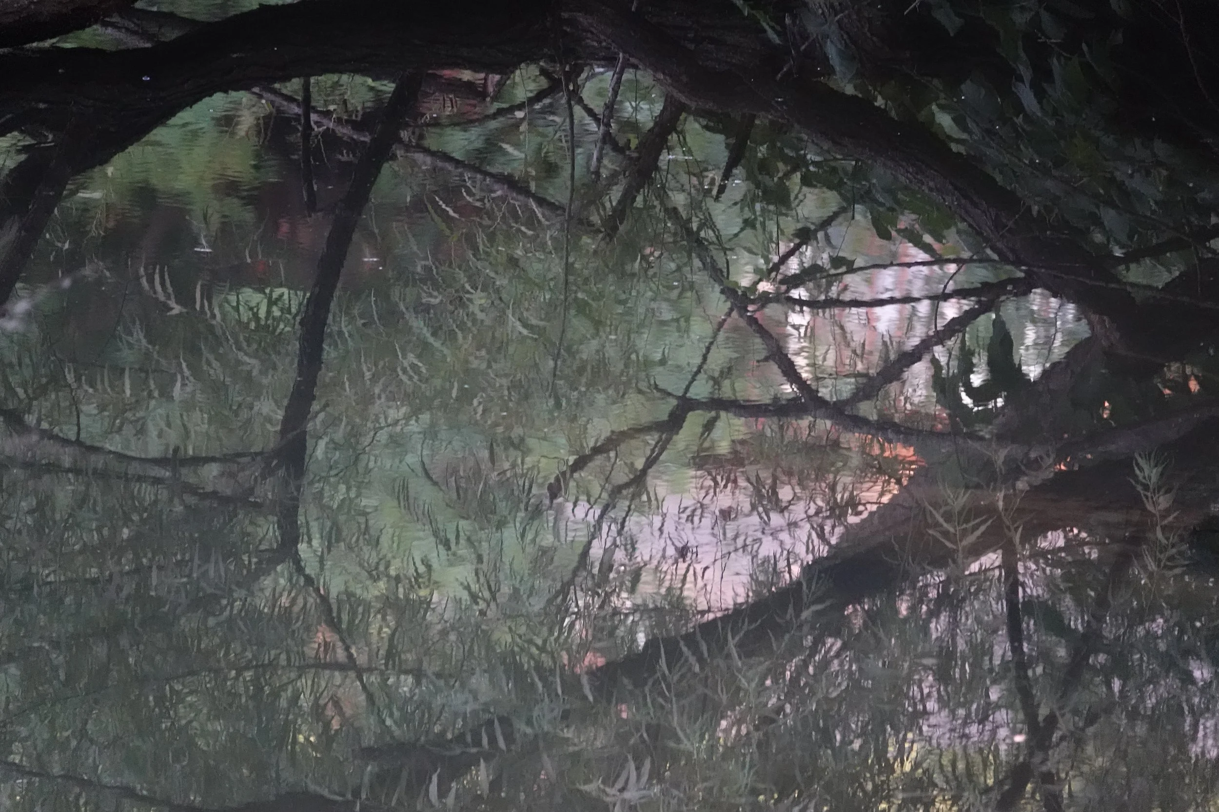 evanescence interpretations 2025.jpg