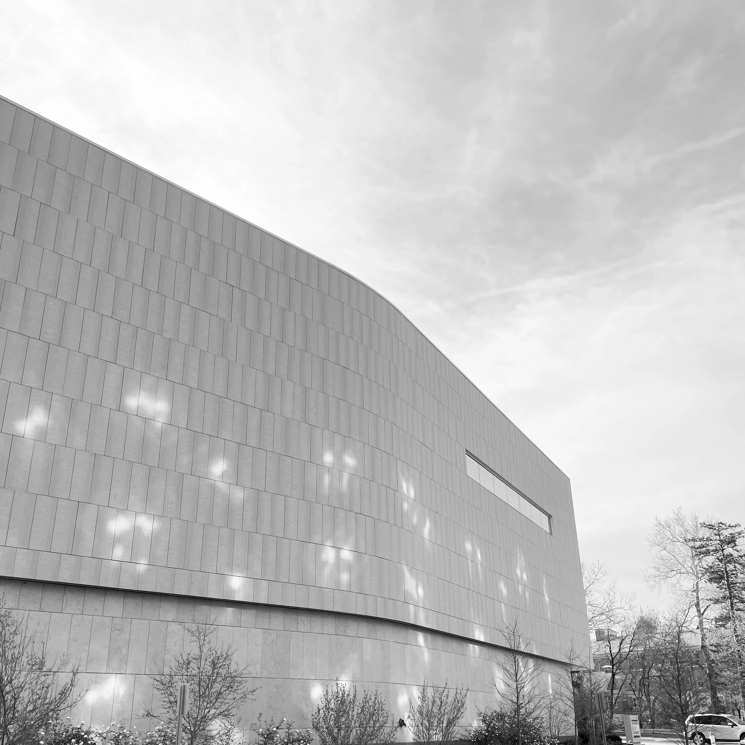 Kelsey Hammond, Reflections on 6th St.JPG