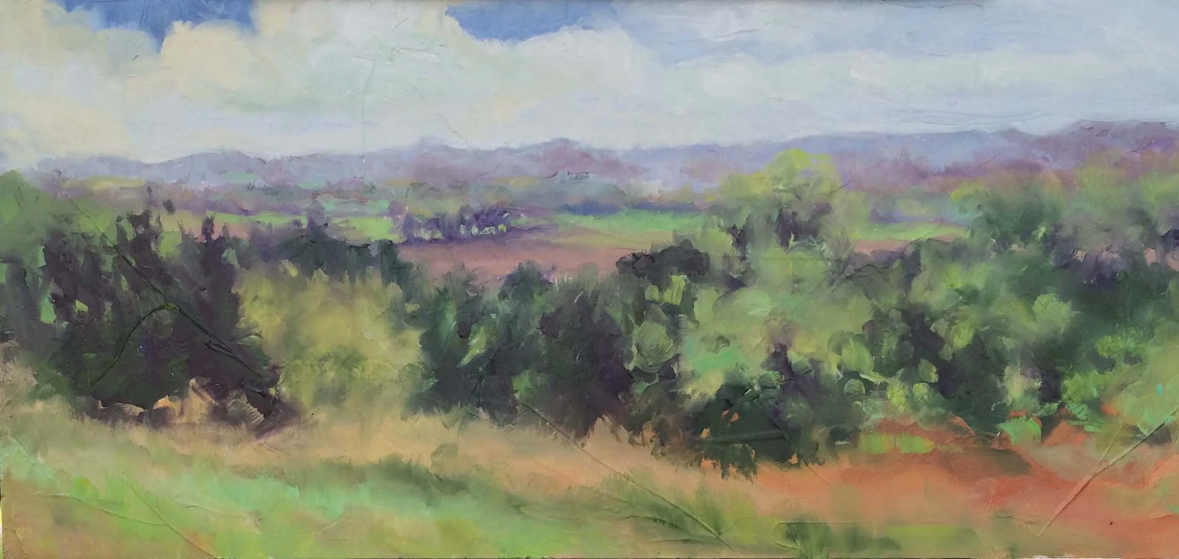 10 Mokane MO River Bottoms.jpg