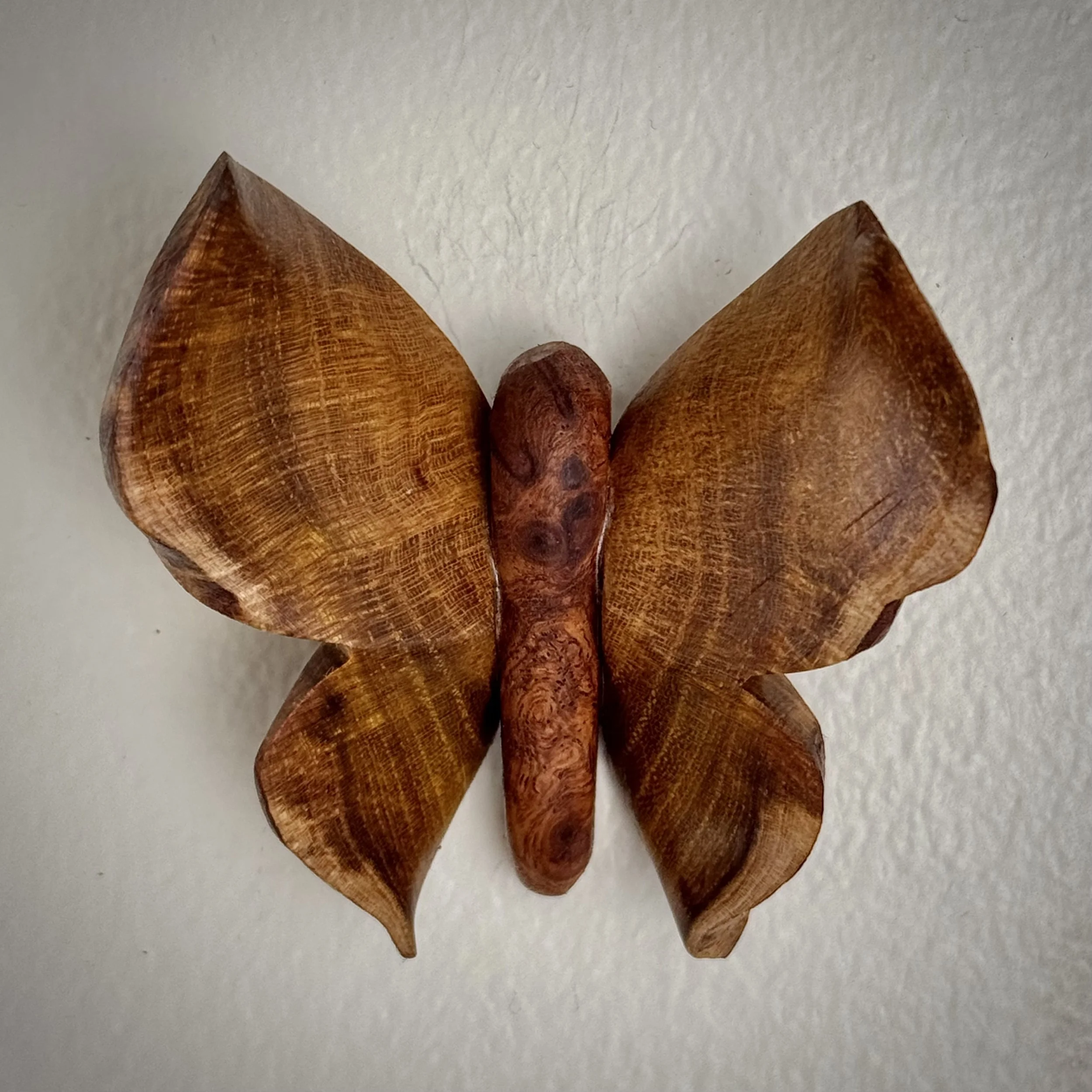 Sara Estrapala, Tiny Butterfly.jpeg