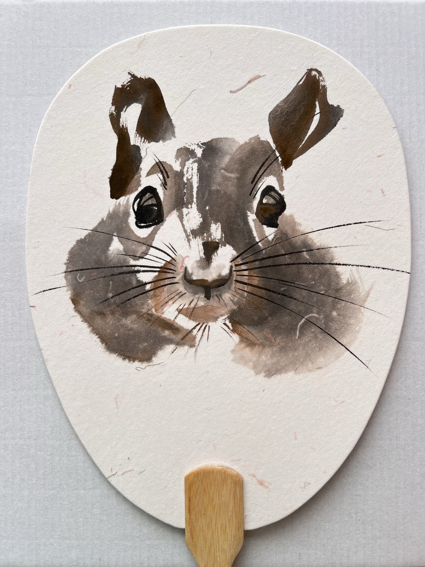 Squirrel in day .jpg