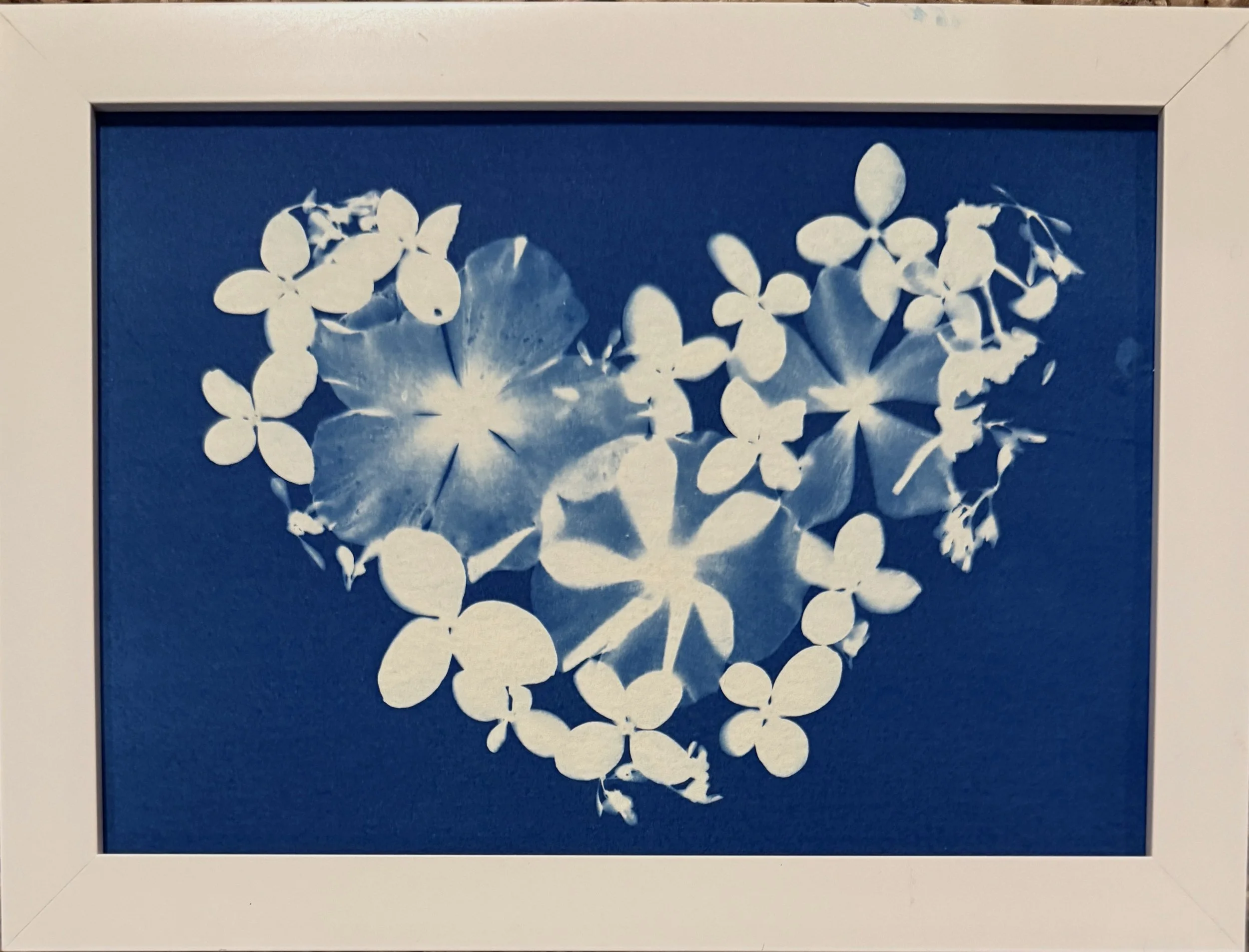 Antje Heese-Peck, Pulsing Petals.jpg