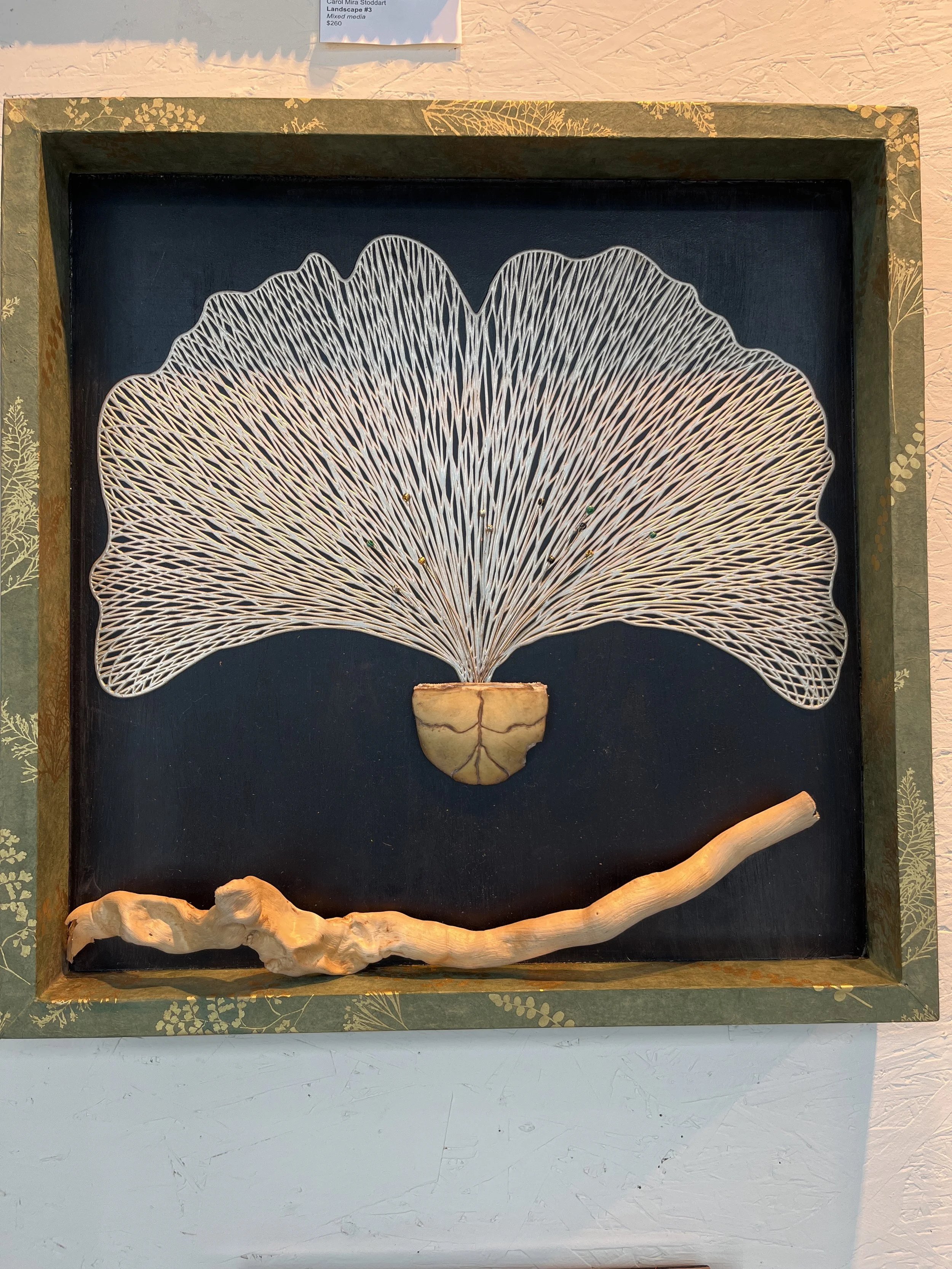 Mira Stoddart, Ginko.jpg