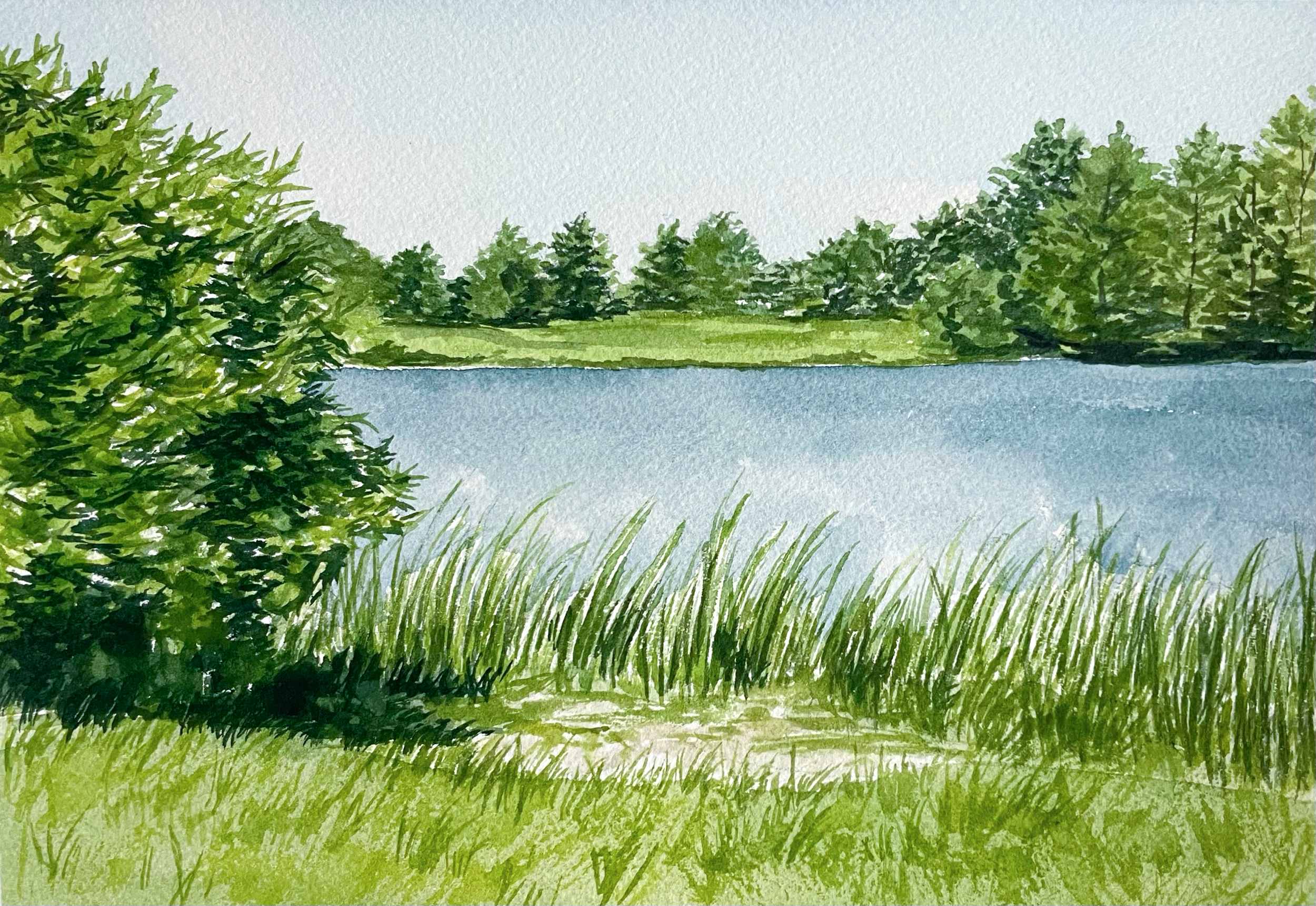 landscape2 (1).png