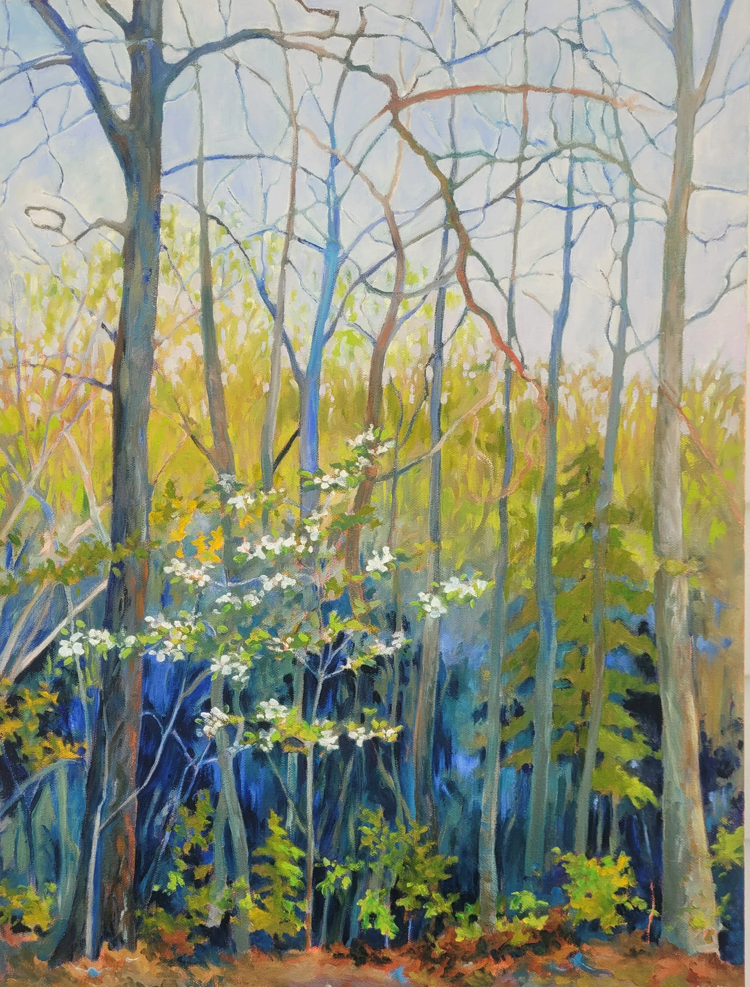 MDaniels_WoodsAwakening_18x24_oil.jpg