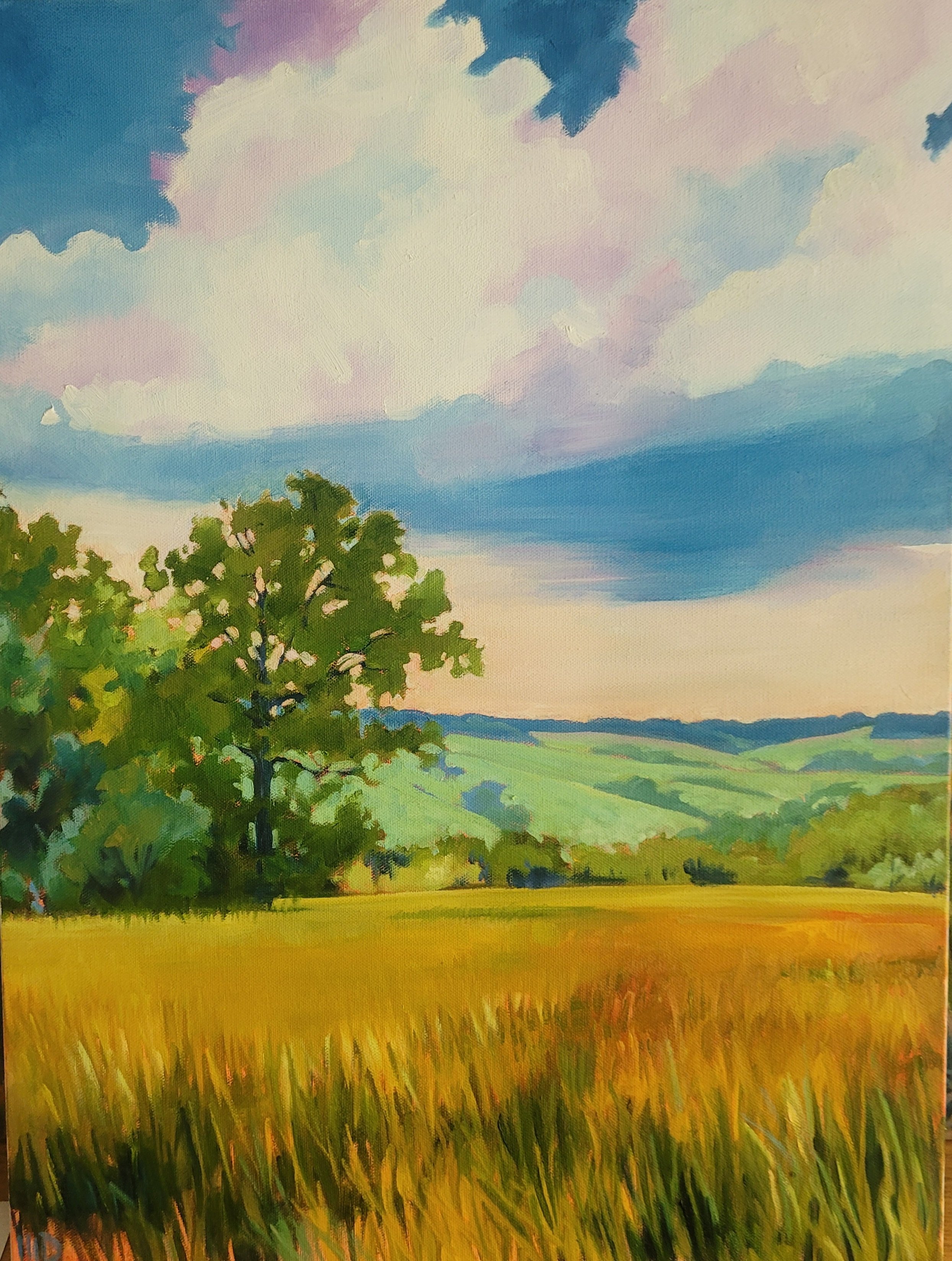 MDaniels_StewardoftheLand_18x24_oil.jpg