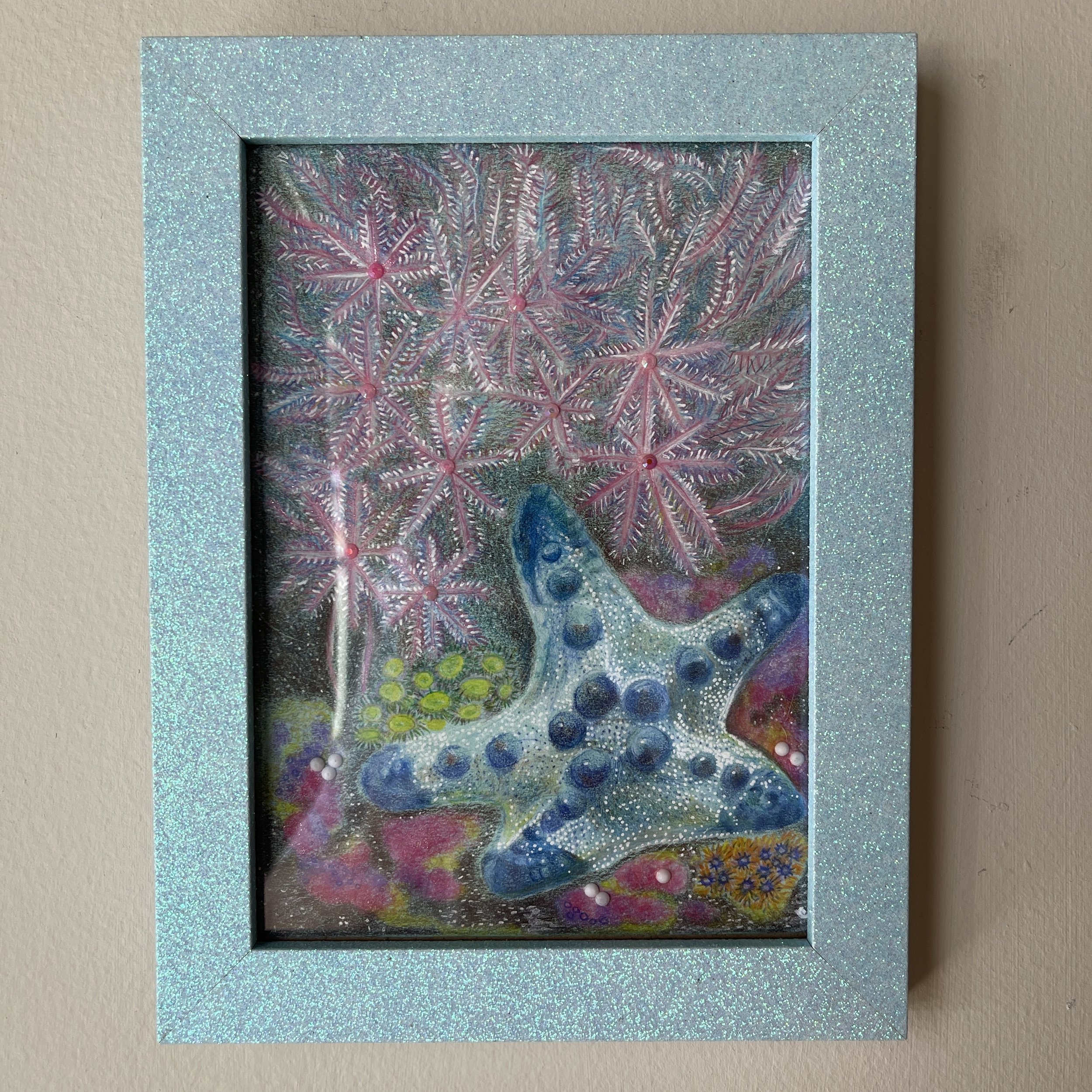 Ellie Stitzer, Chocale Chip Sea Star.jpg