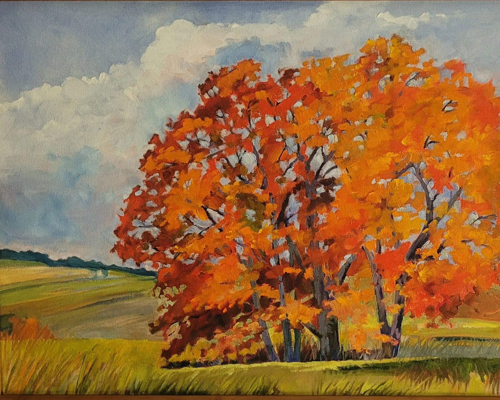 MDaniels_OrangeDashedonOaks_18x24_oil.jpg