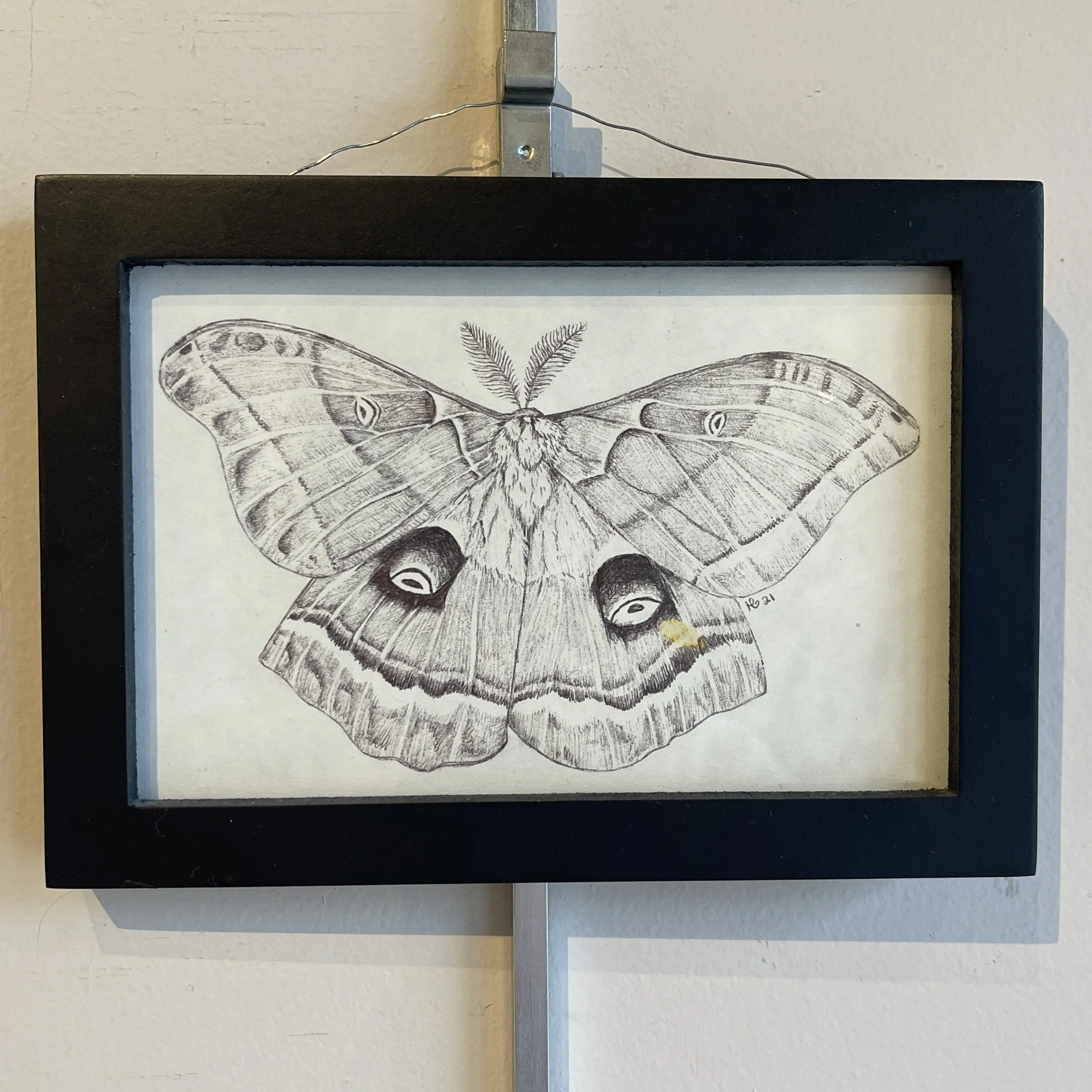 Halley Golliglee, Nobody's Enemy.jpg