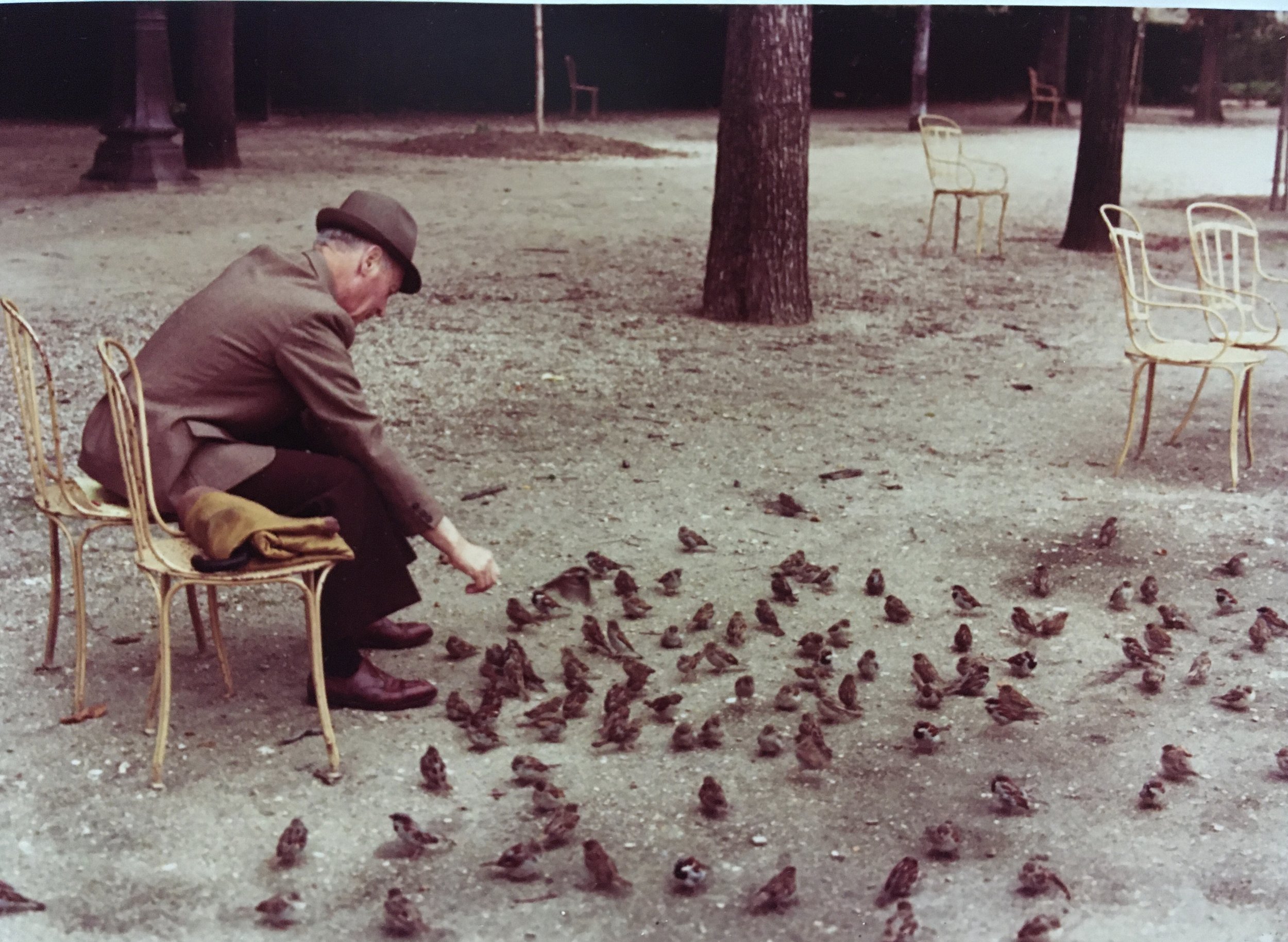 PP 25 Ruthie Moccia, Man with Birds in the Tulleries.JPG