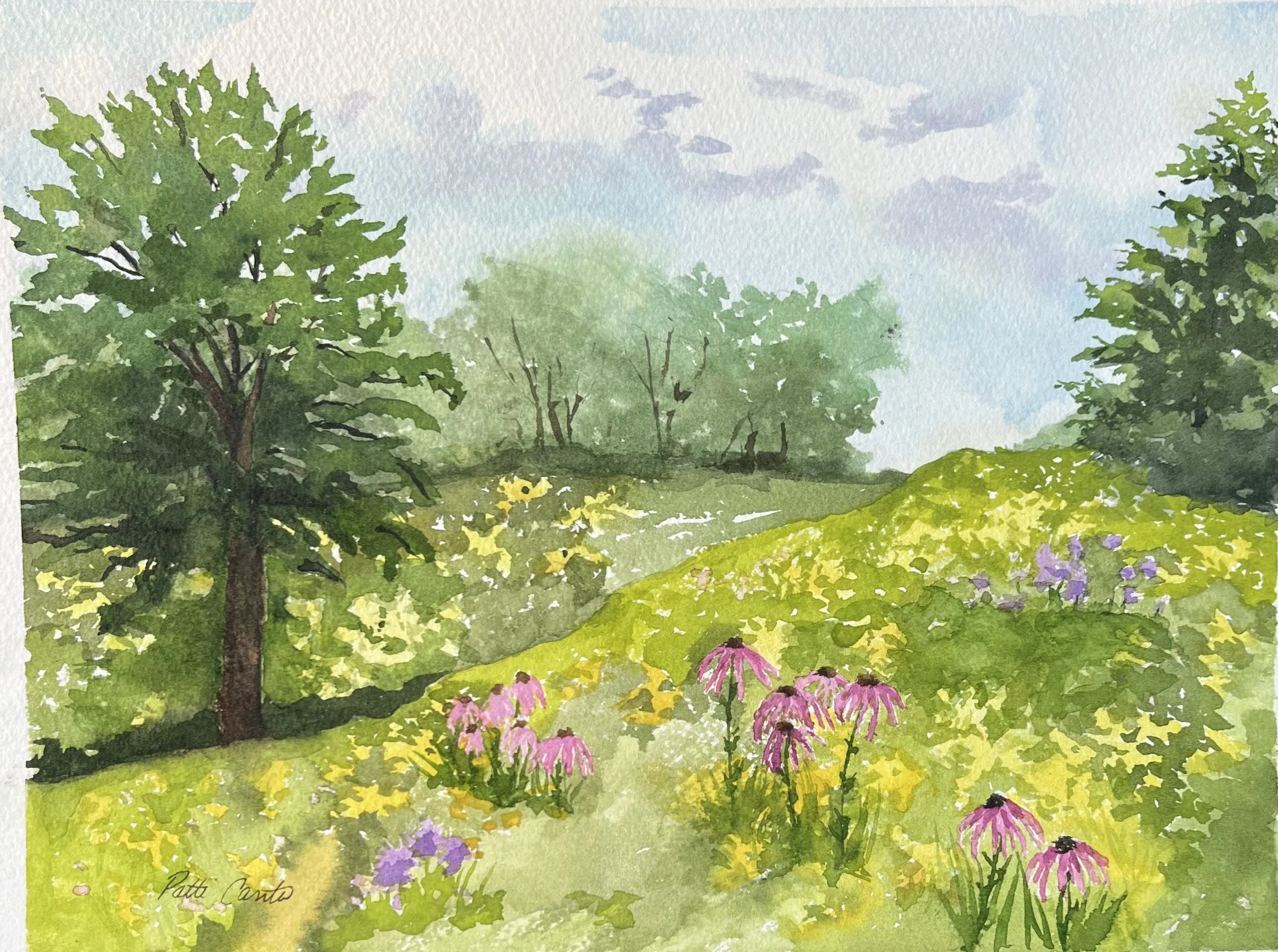 Patti Cantu, A Lovely Wild Flower Prairie.jpeg