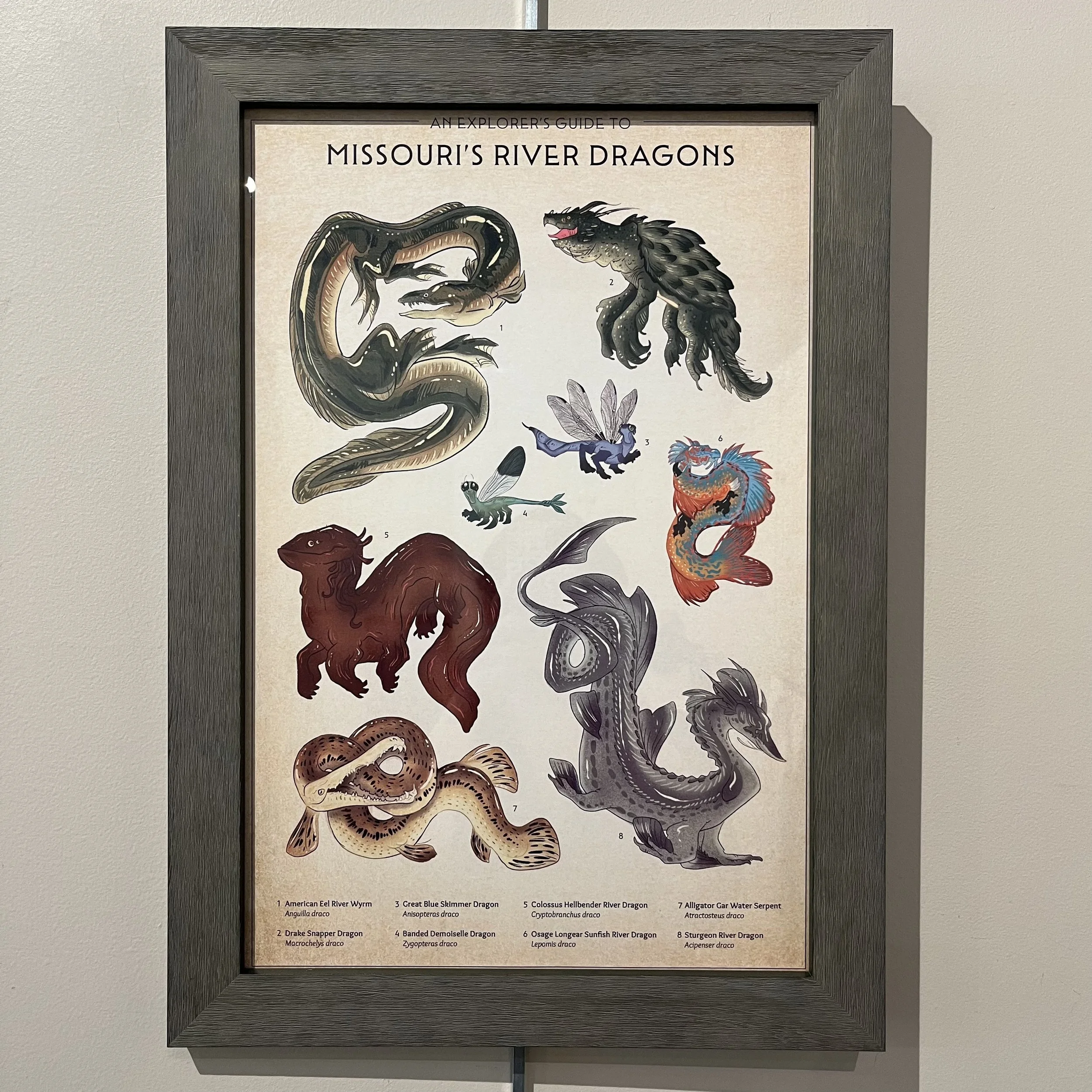 M&M _Michelle Marcum, Explorer's Guide to Missouri's River Dragons.JPG