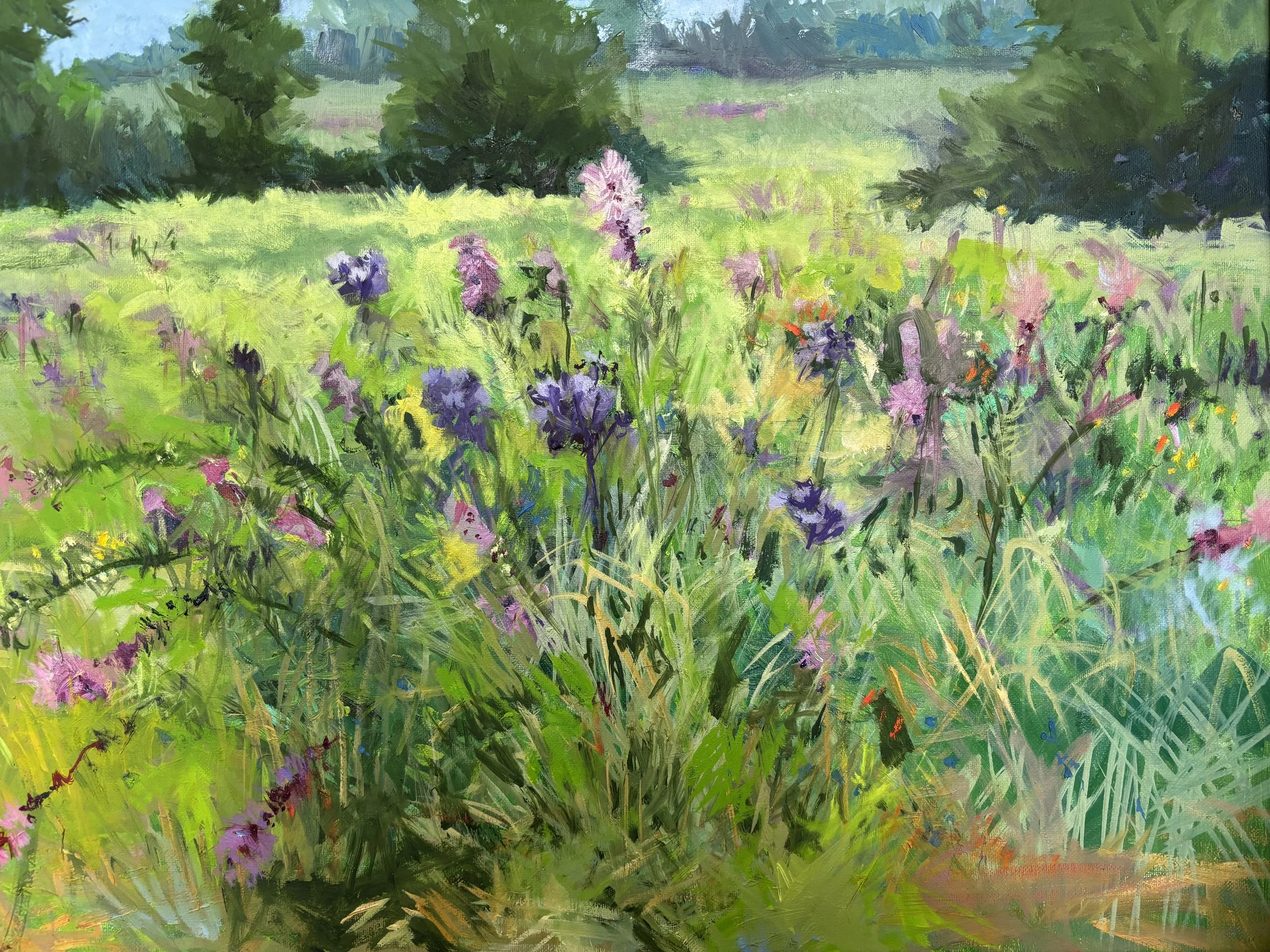 Linda Hoffman, Prairie #1.jpeg