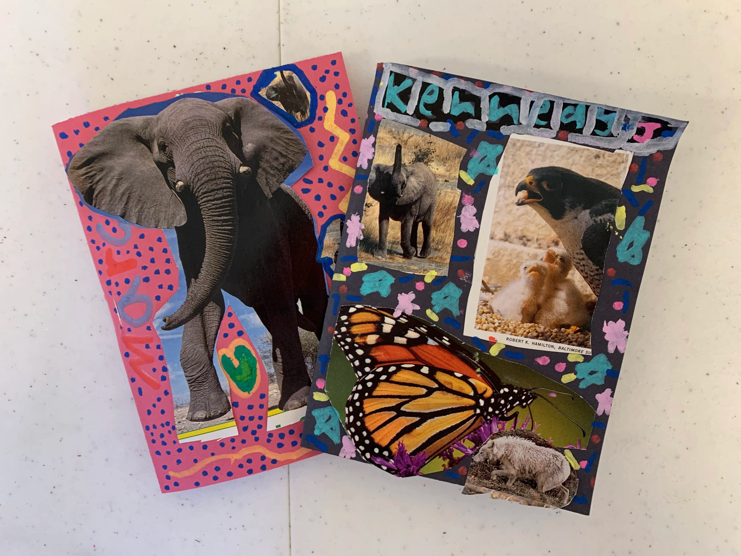 Collage Camp- July 20-24