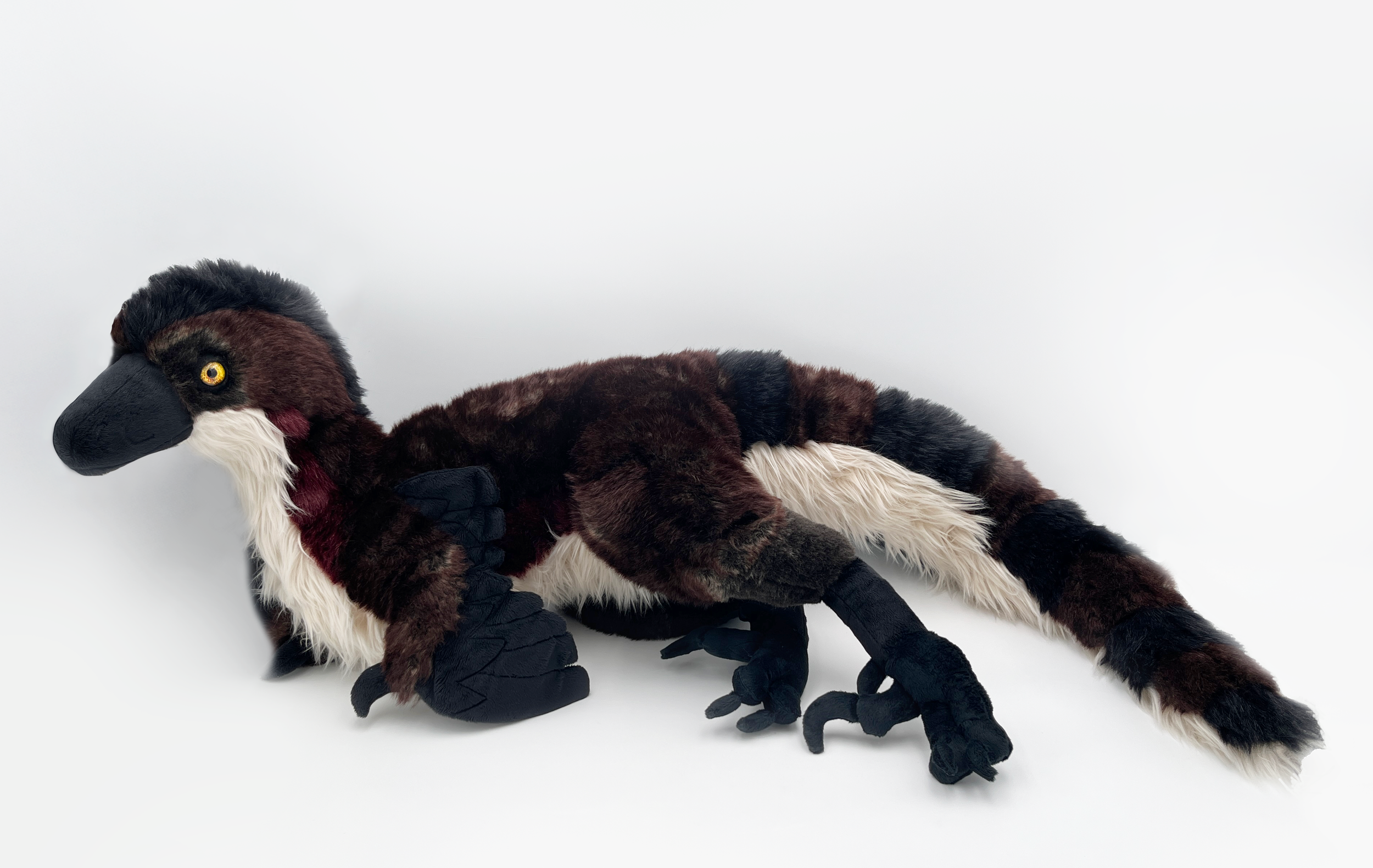 Shelby Wedel, Velociraptor.png