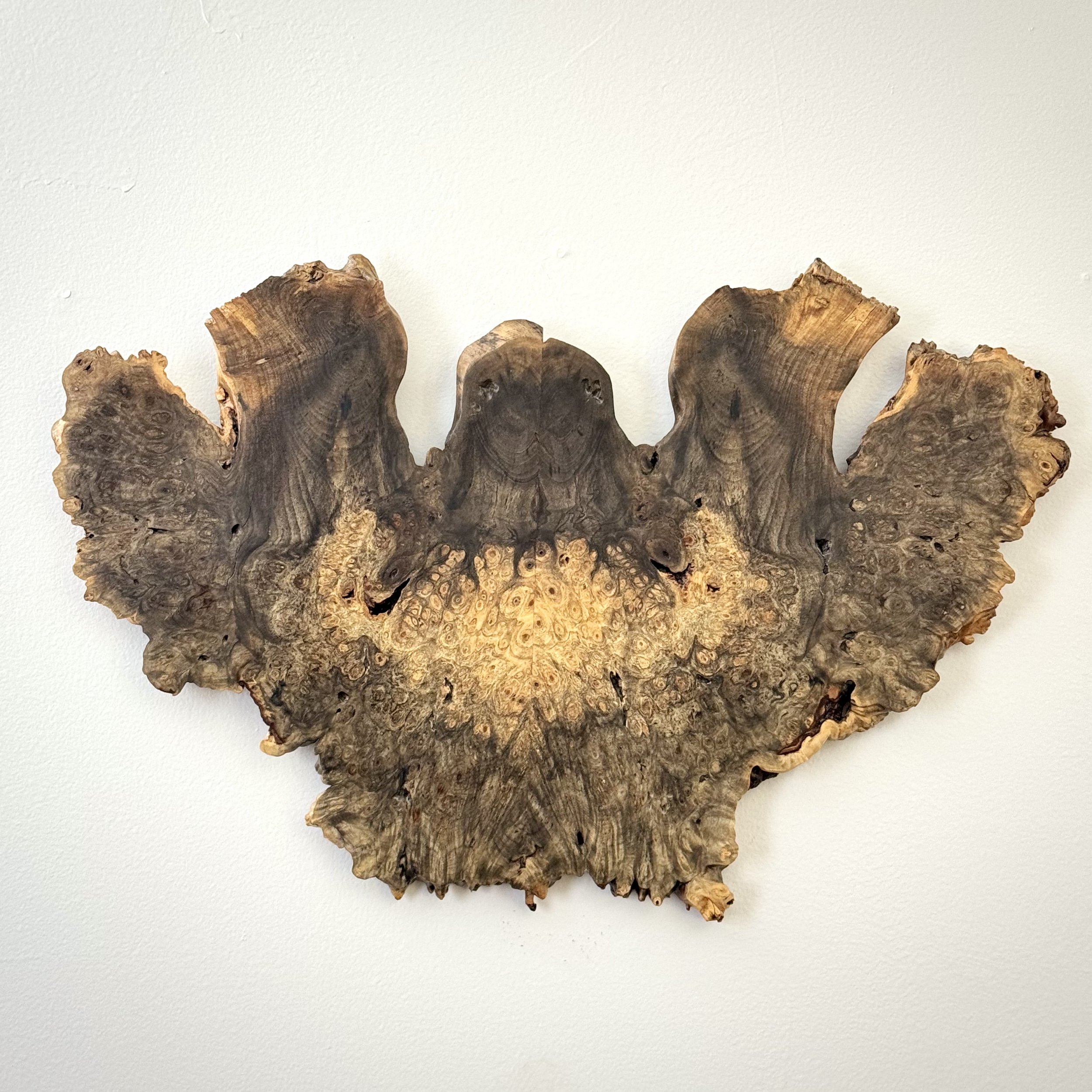 M&M_Sara Estrapala_Raven.jpg