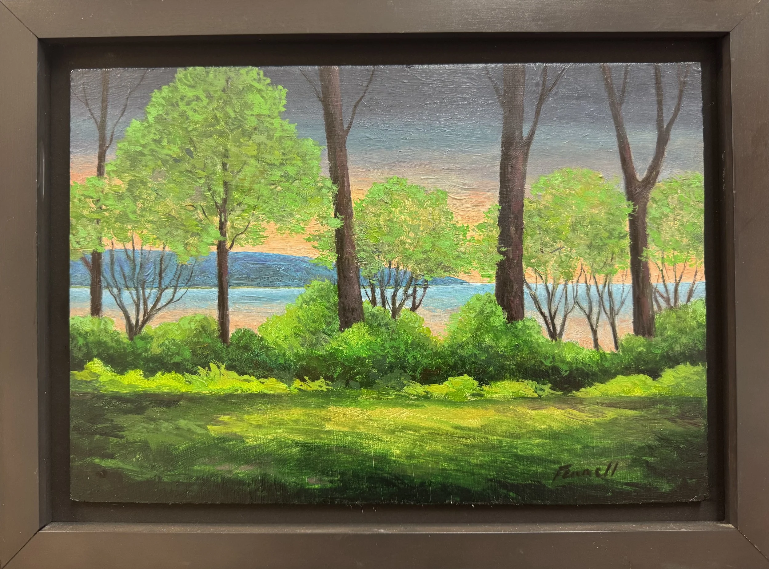 John Fennell, Spring Green.jpeg