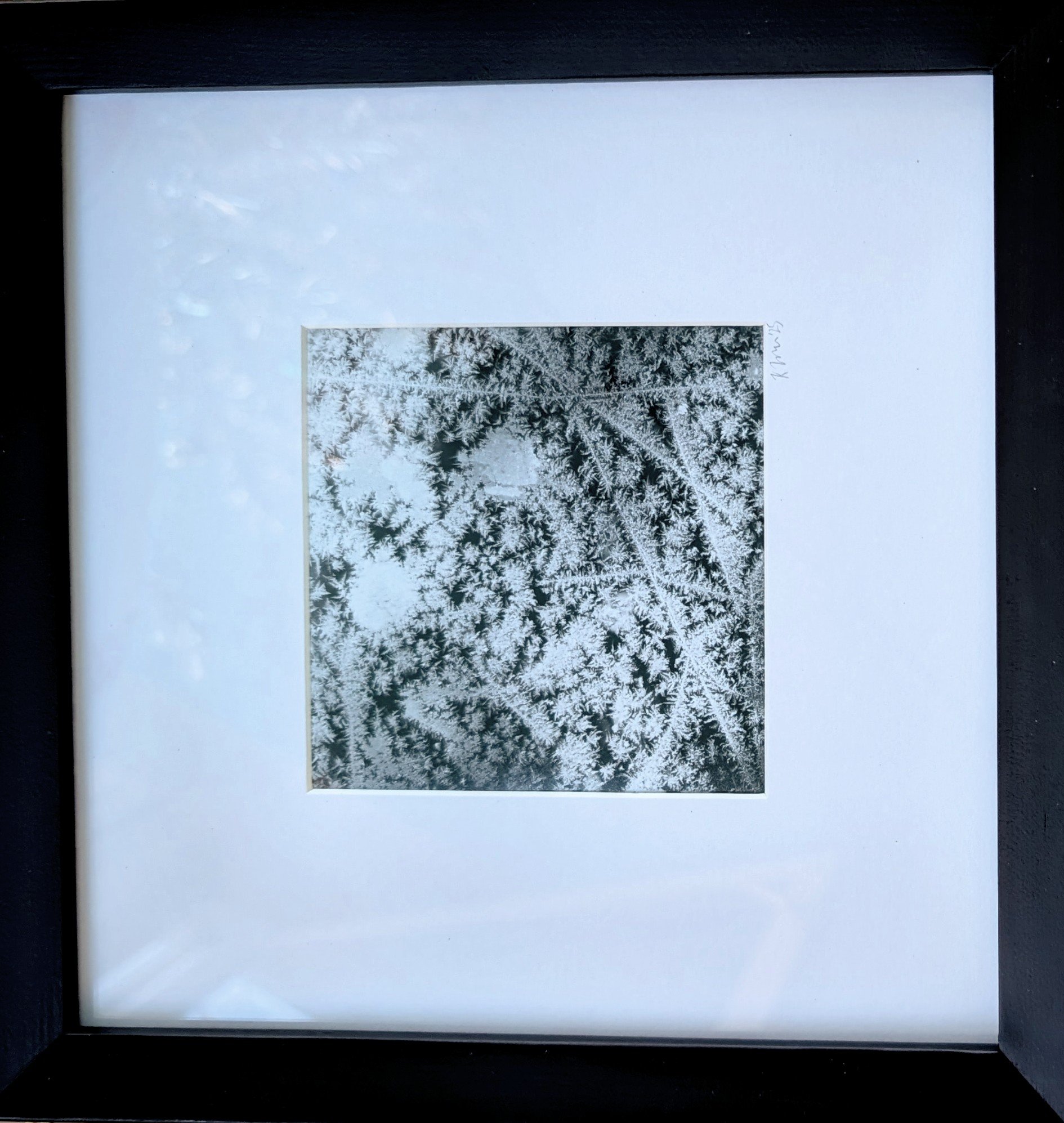 Kate Verna, Winter.jpg