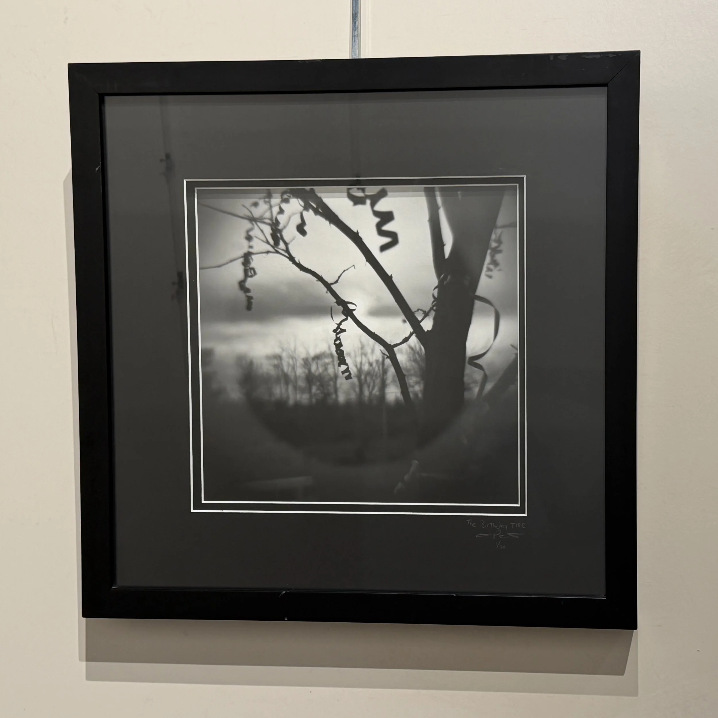 Anastasia Pottinger, Birthday Tree.jpg