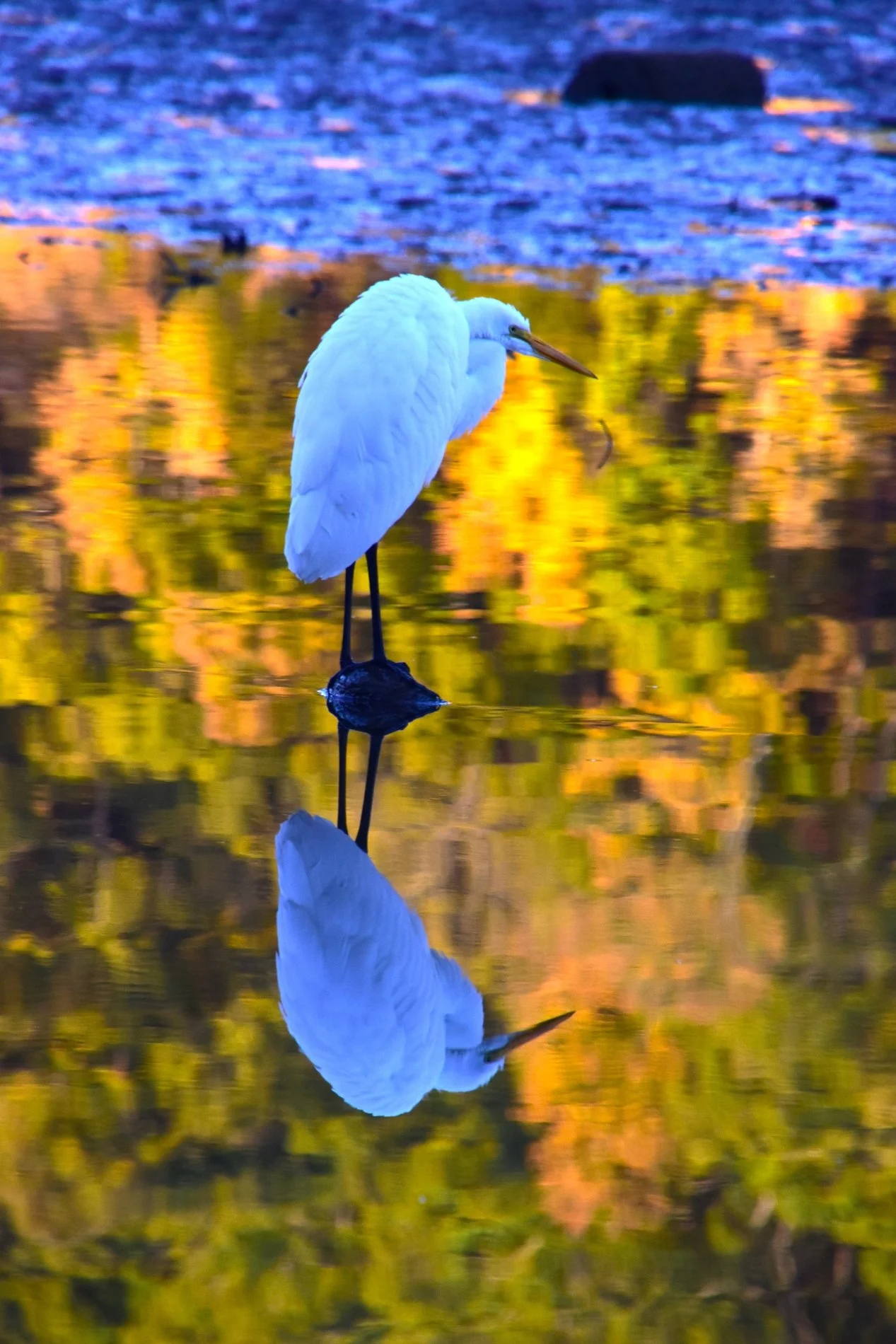 LaDonna Greiner, I've Got My Eye On You.jpg