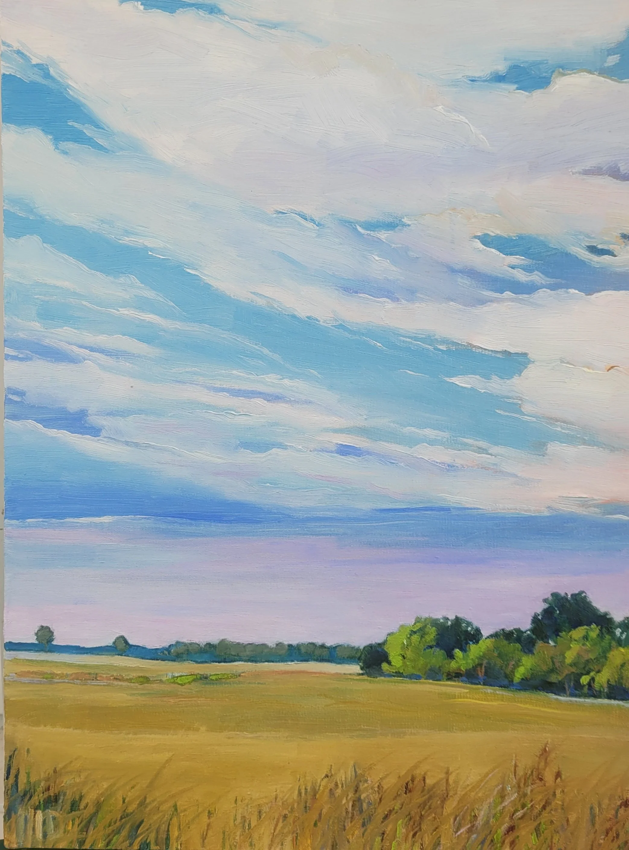 MDaniels_SeptFields_12x16_oil.jpg