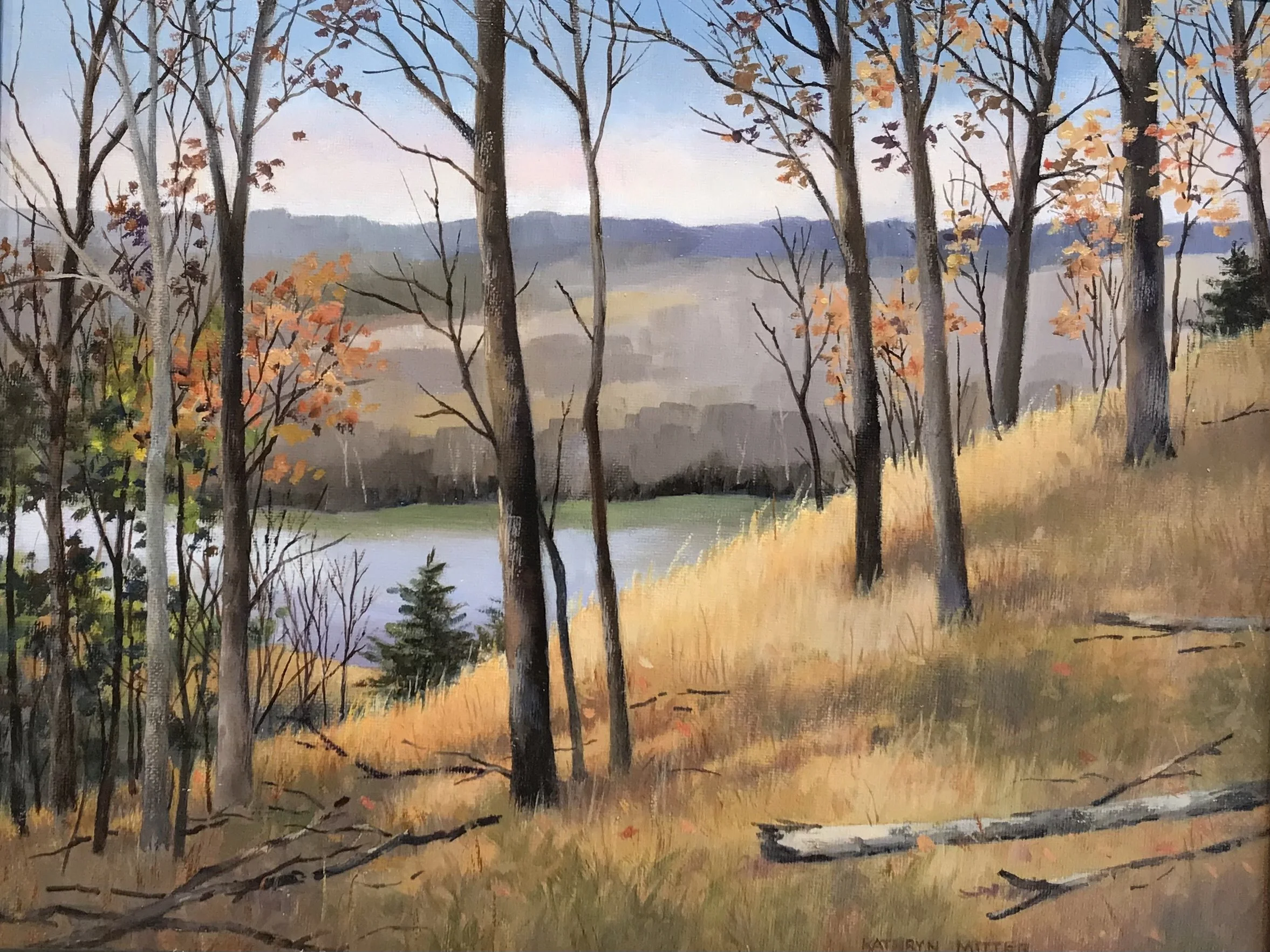 gray hills across the river.jpeg