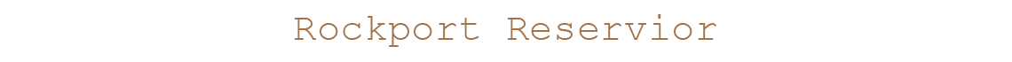 Screen Shot 2019-07-03 at 12.55.14 PM.png