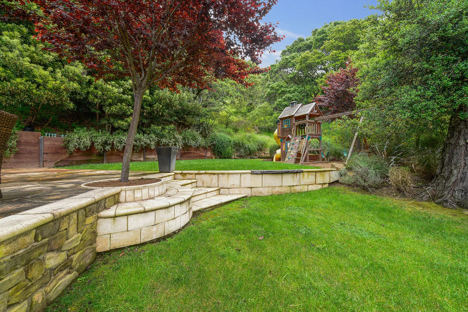 Backyard - lawn to play structure.jpg