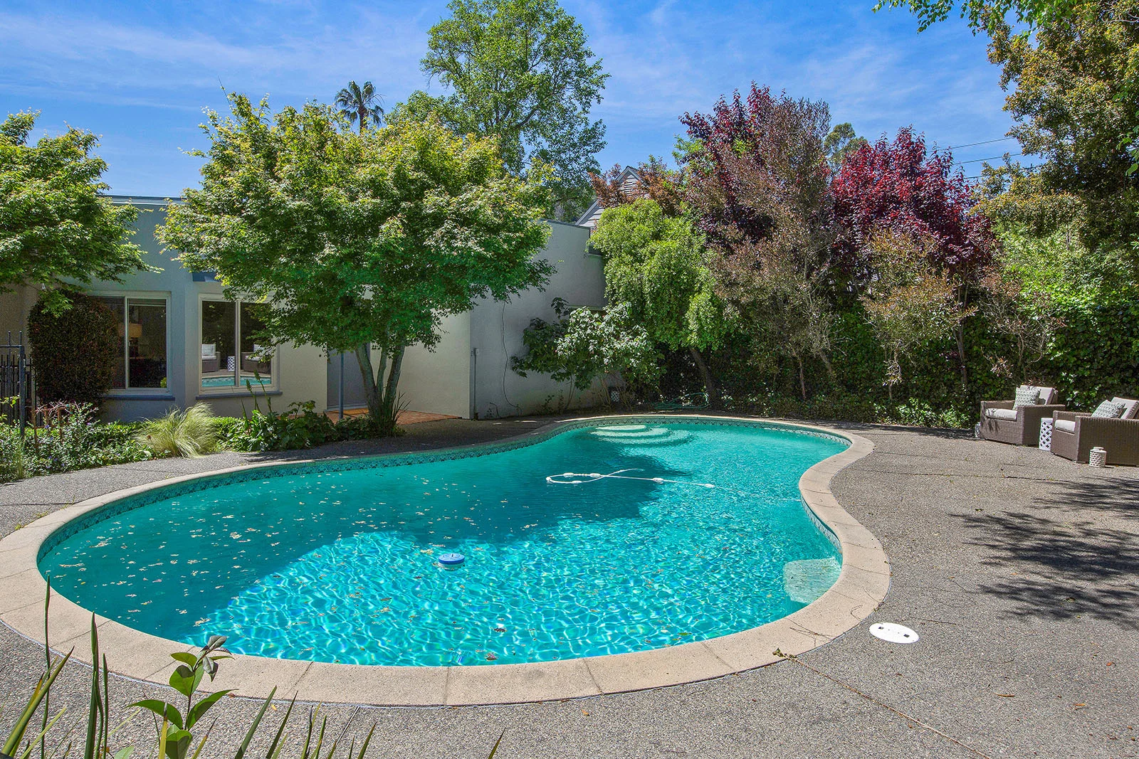 239 Linden Ln
