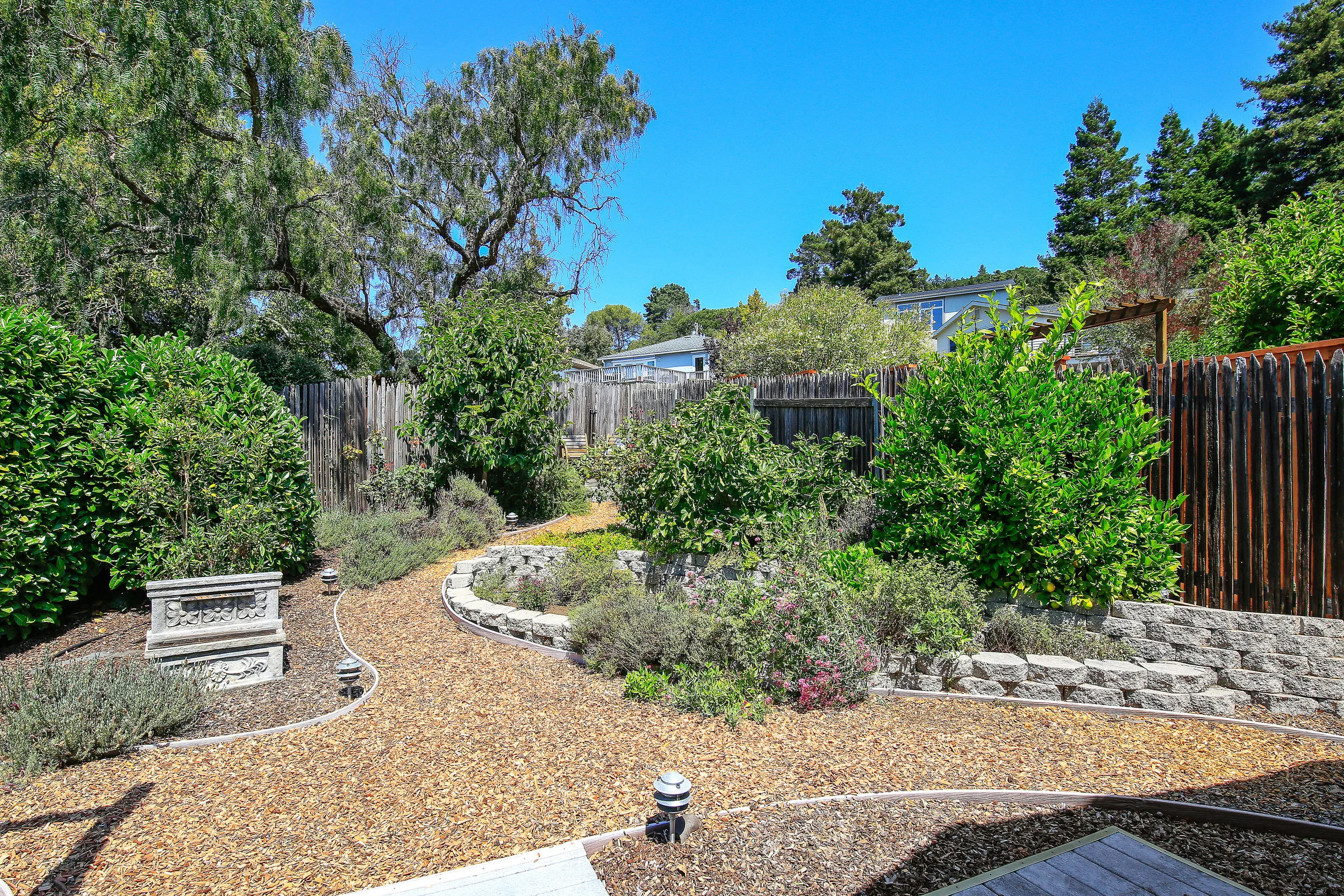 Ext - back yard.jpg