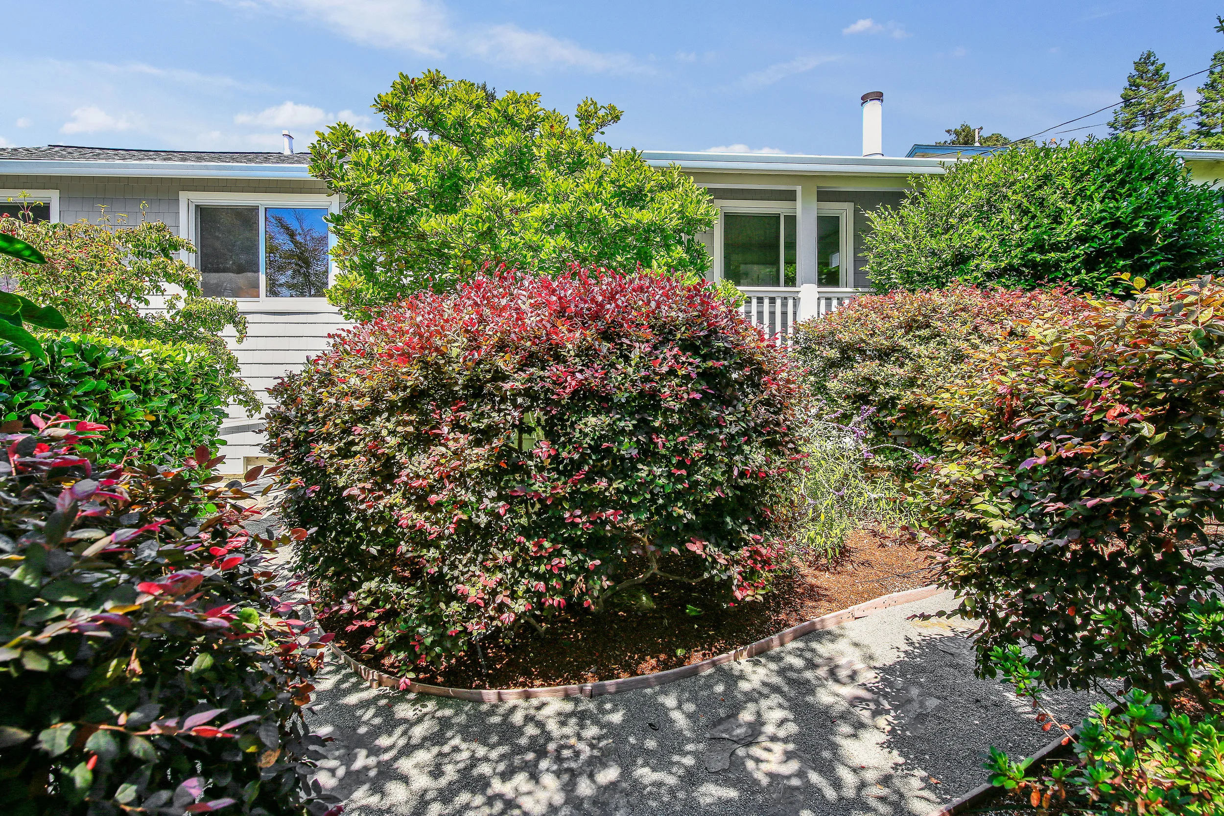 Ext - front yard.jpg