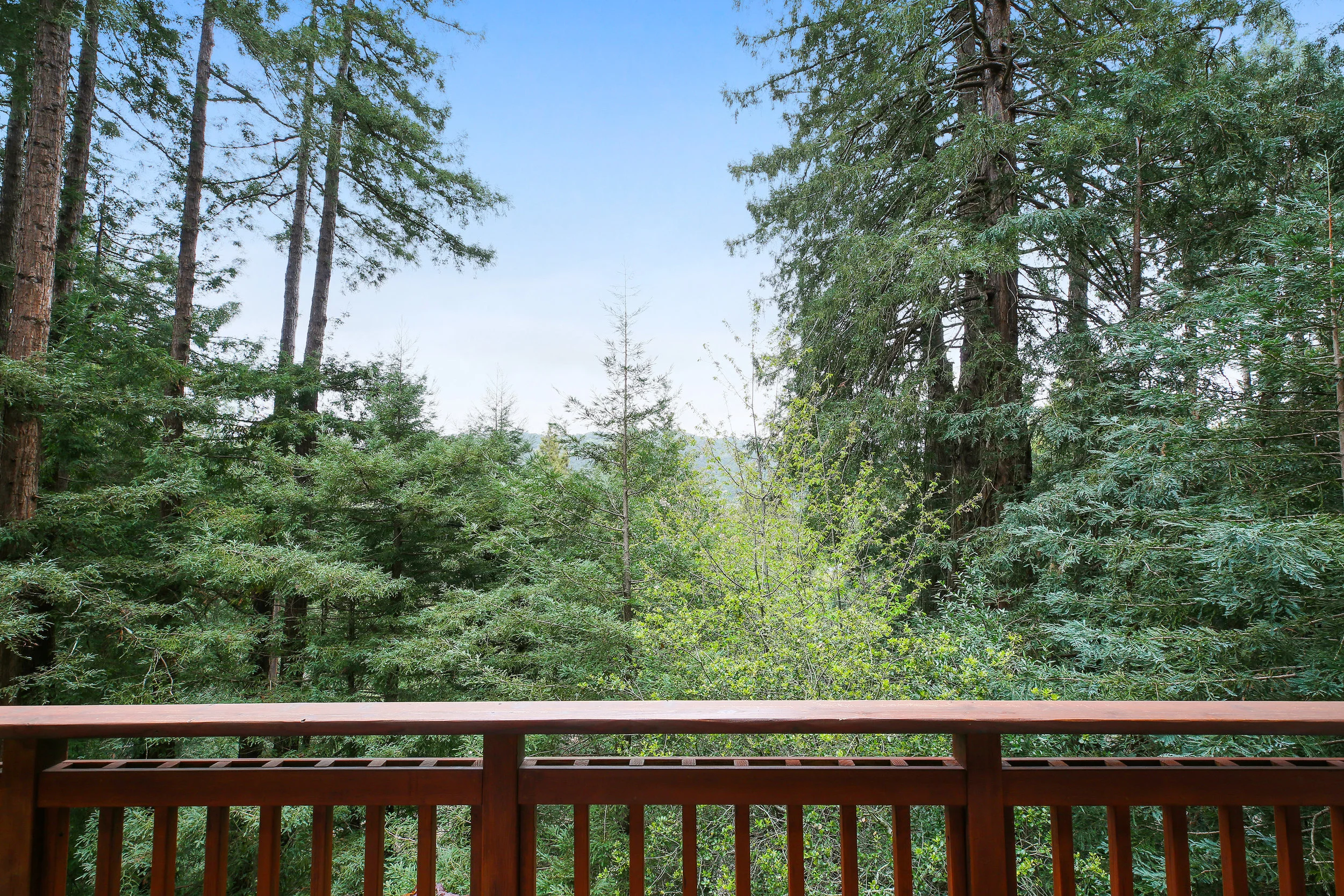 Ext - deck views.jpg