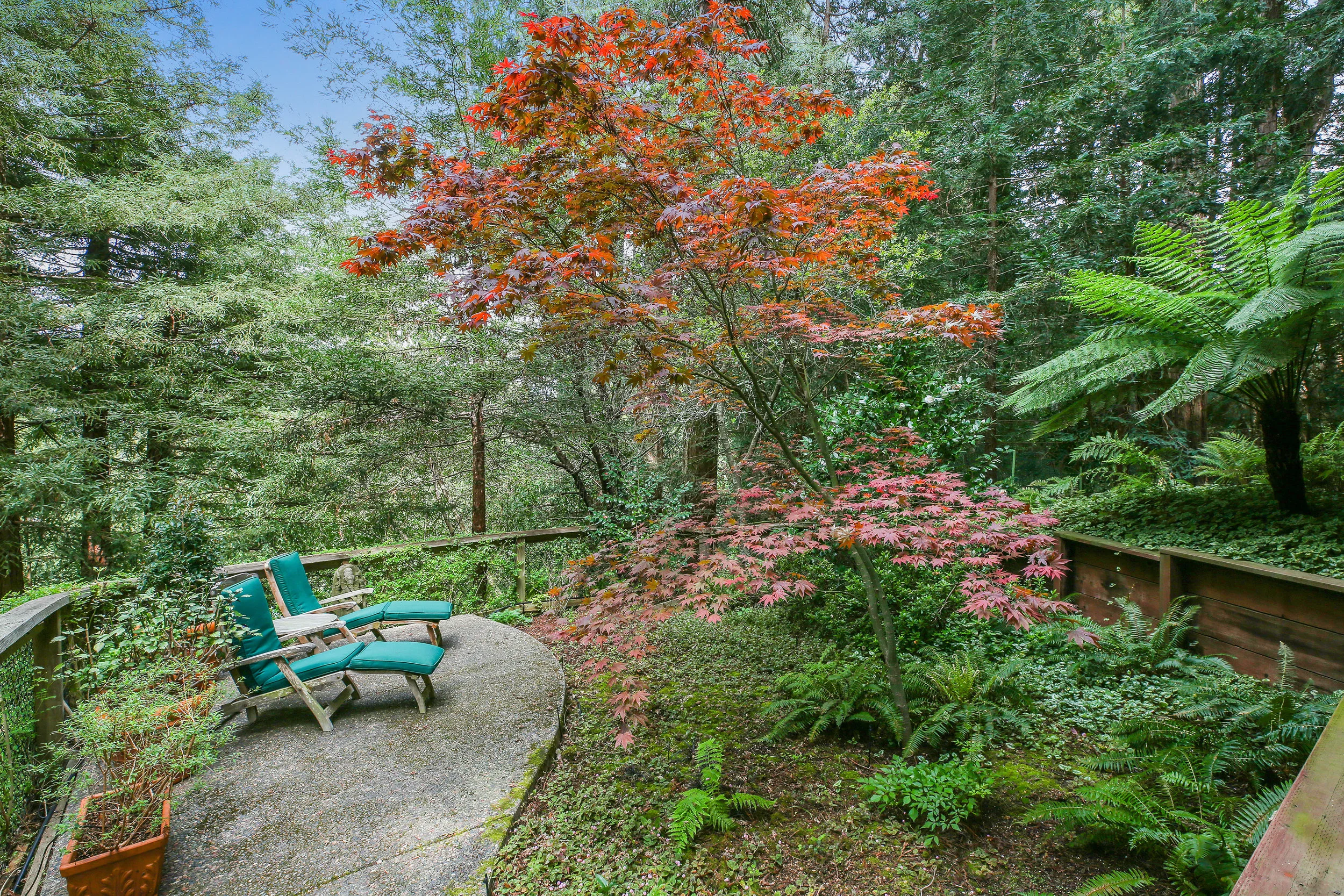 Ext - patio.jpg