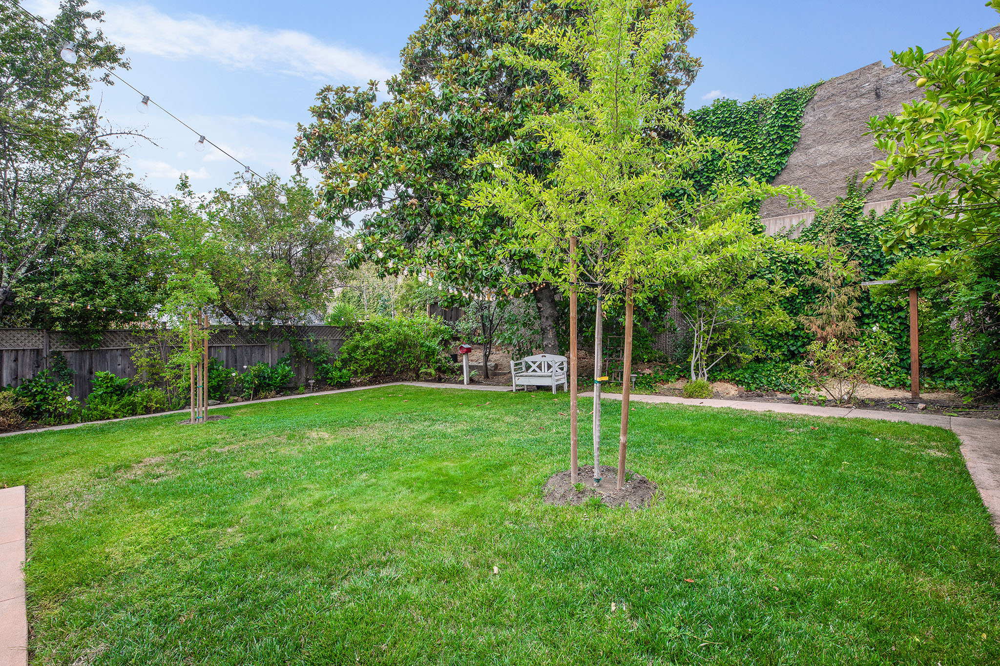 Backyard lawn - 3 to wall.jpg