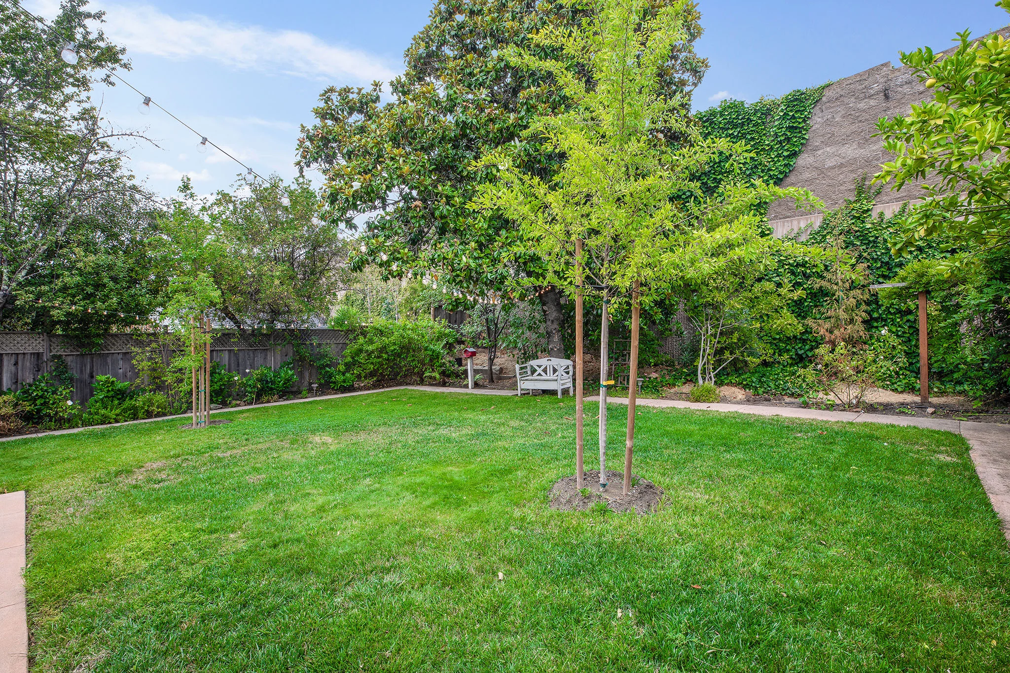 Backyard lawn - 3 to wall.jpg