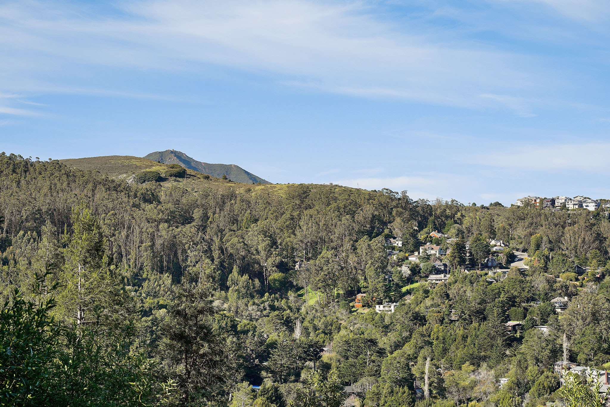 Views 2 - Tam Hills.jpg