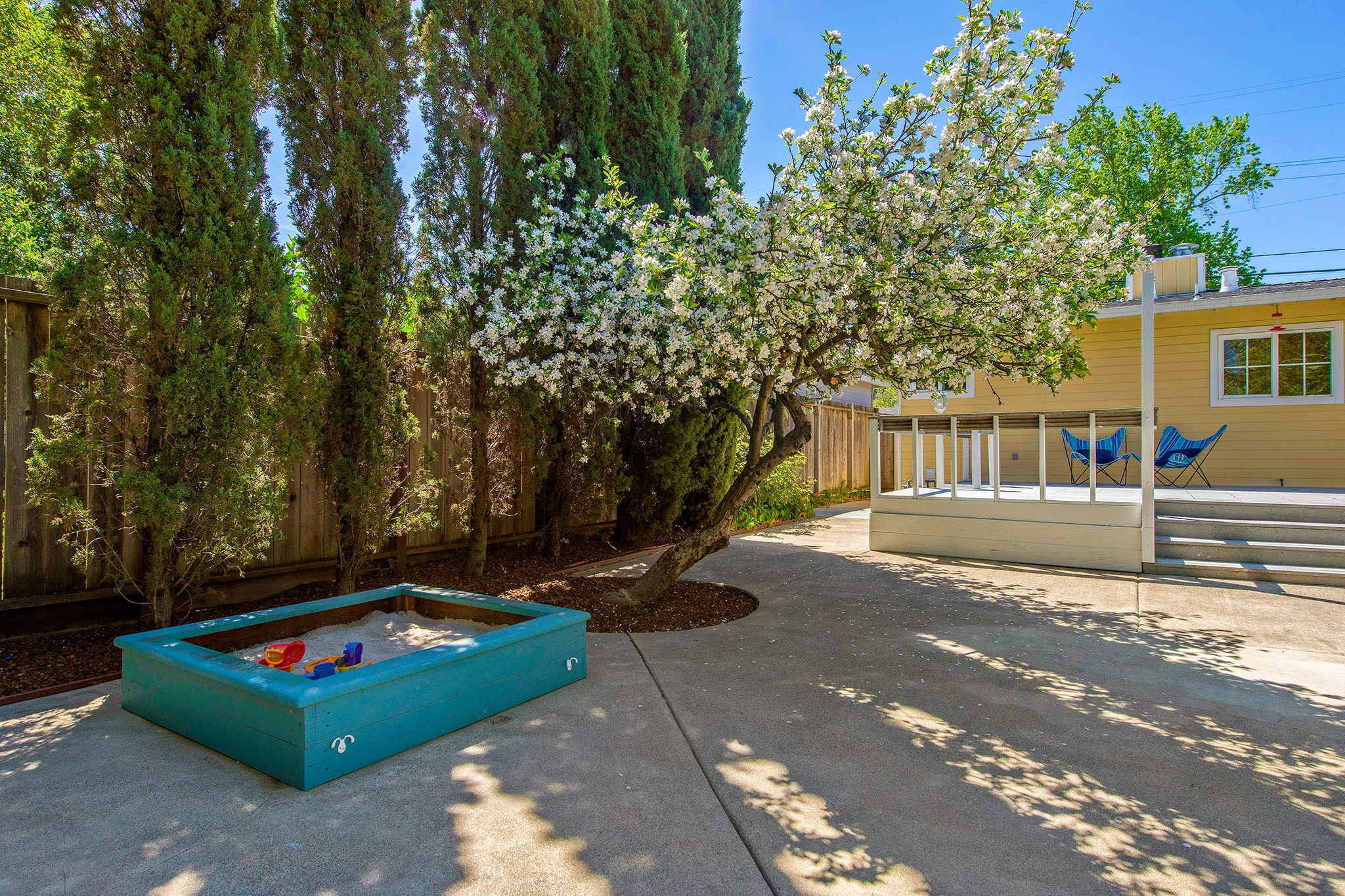 Yard - sandbox tree.jpg