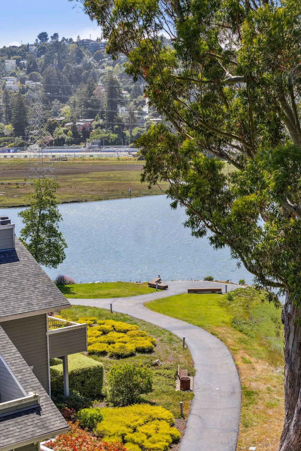64 Eucalyptus Knoll, Mill Valley — The Marin Home Team