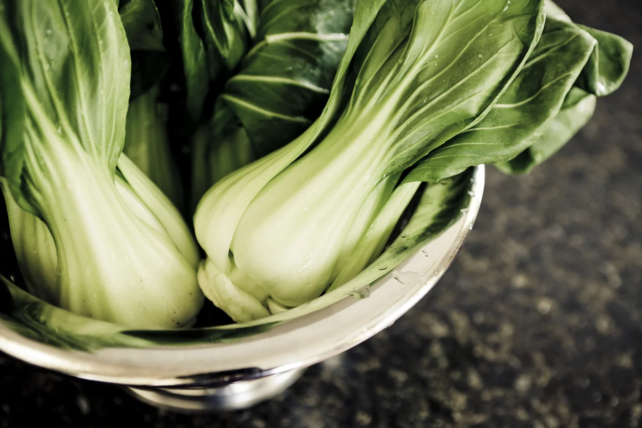 bok choy.jpg