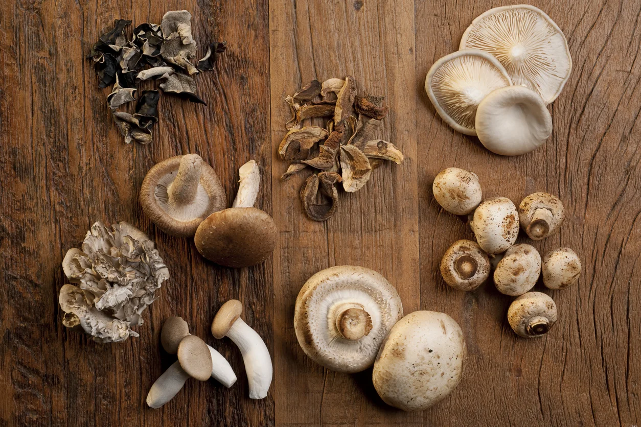 mixed mushrooms.jpg