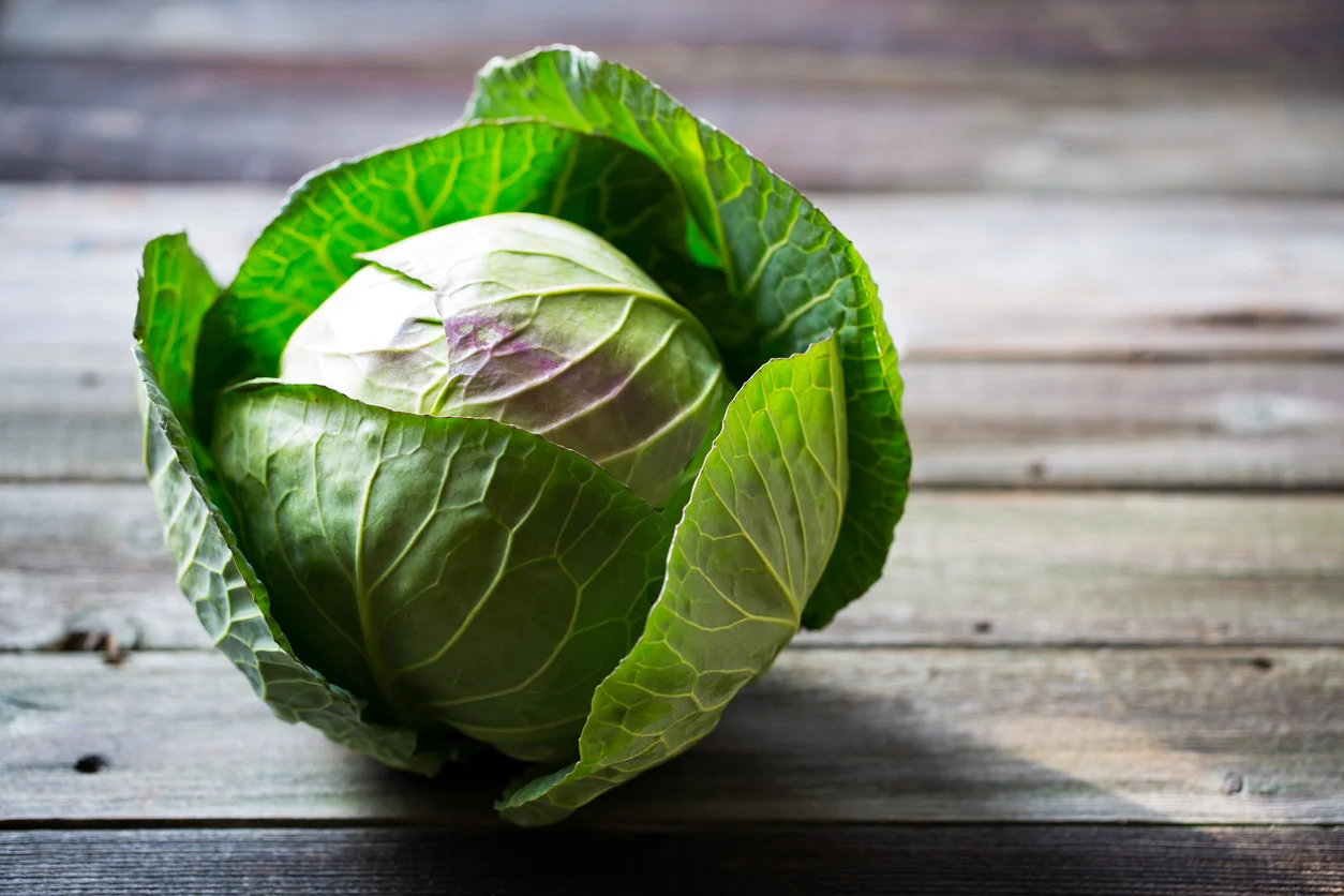 Cabbage%2c Leek & Bacon Soup.jpg