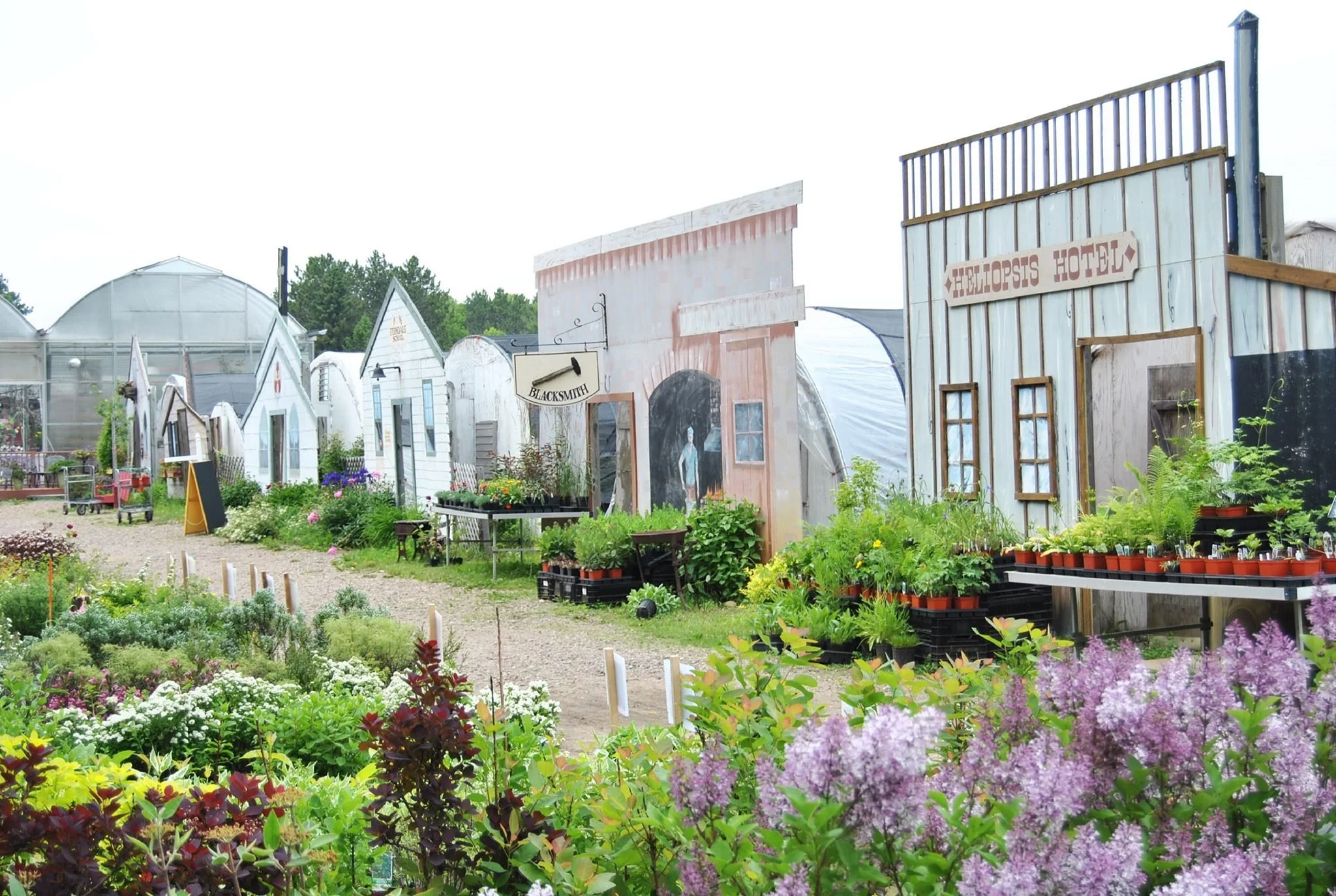 Minocqua Area Event Hanson's Garden Village — Rural Virtual Academy