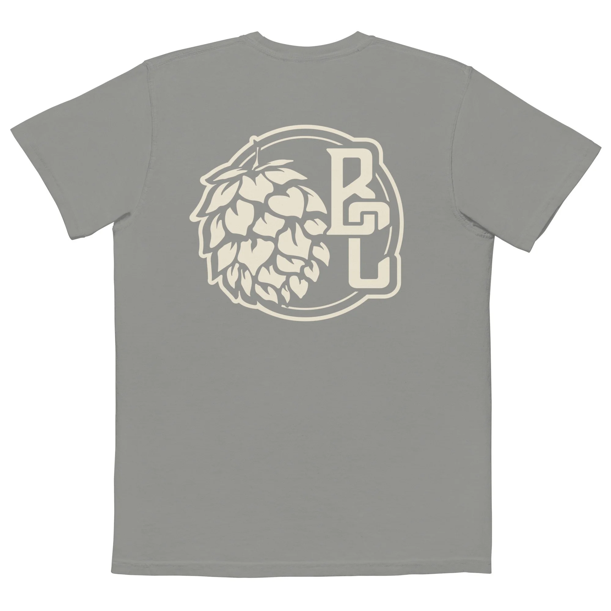 unisex-garment-dyed-pocket-t-shirt-grey-back-68bf6ab1b4154.jpg