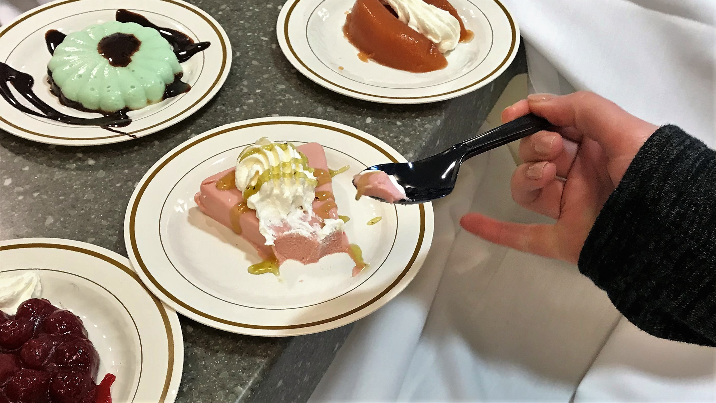 Each dish is molded to look like its original shape. The pizza looks like pizza, the fish looks like fish, and dessert looks like dessert.