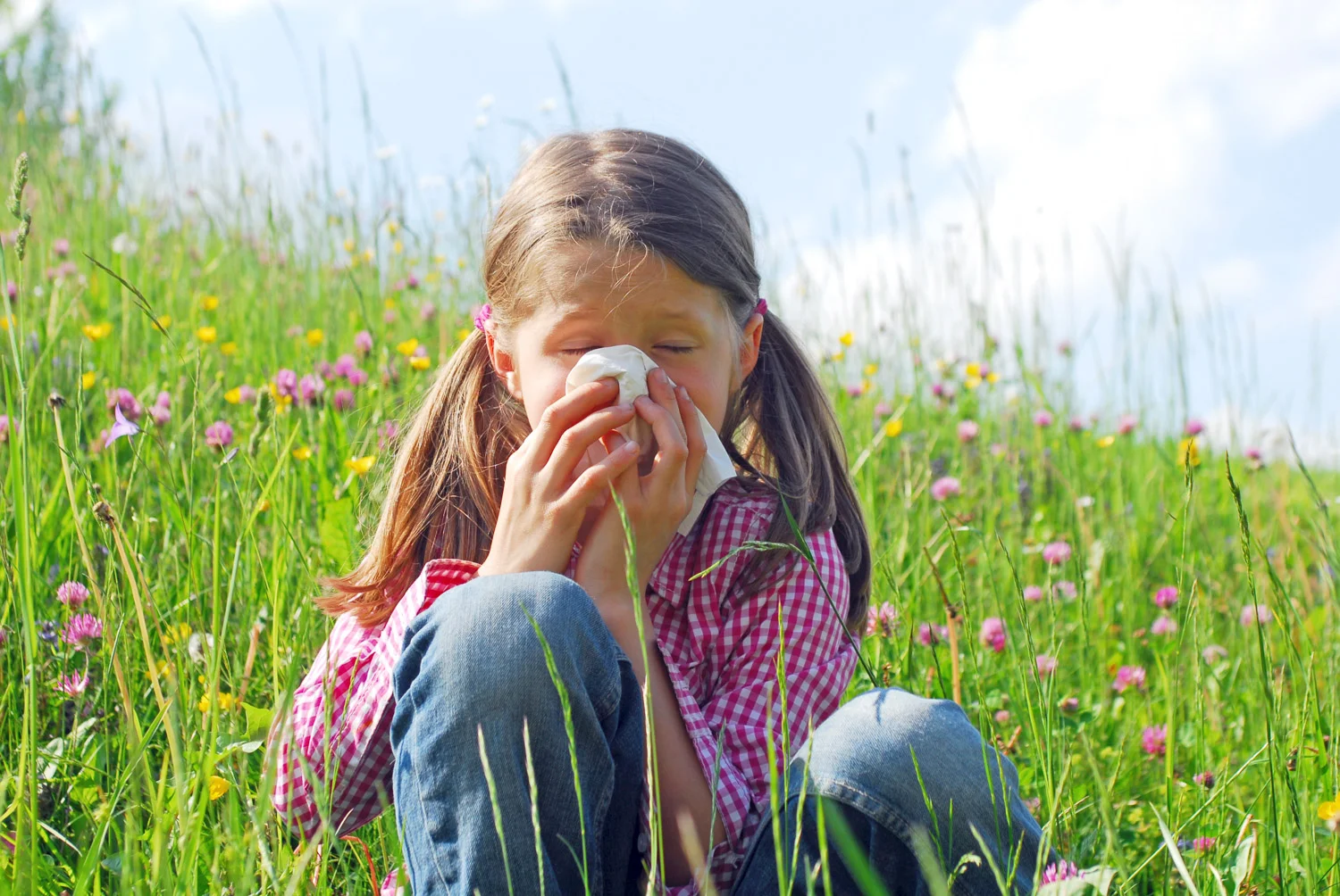 ZirbenLufter-Luftbefeuchter-Luftreiniger-Pollenallergie-Pollen-Pollenallergiker-Zirbenlufter-Lufreiniger-zirbenluefter.jpg