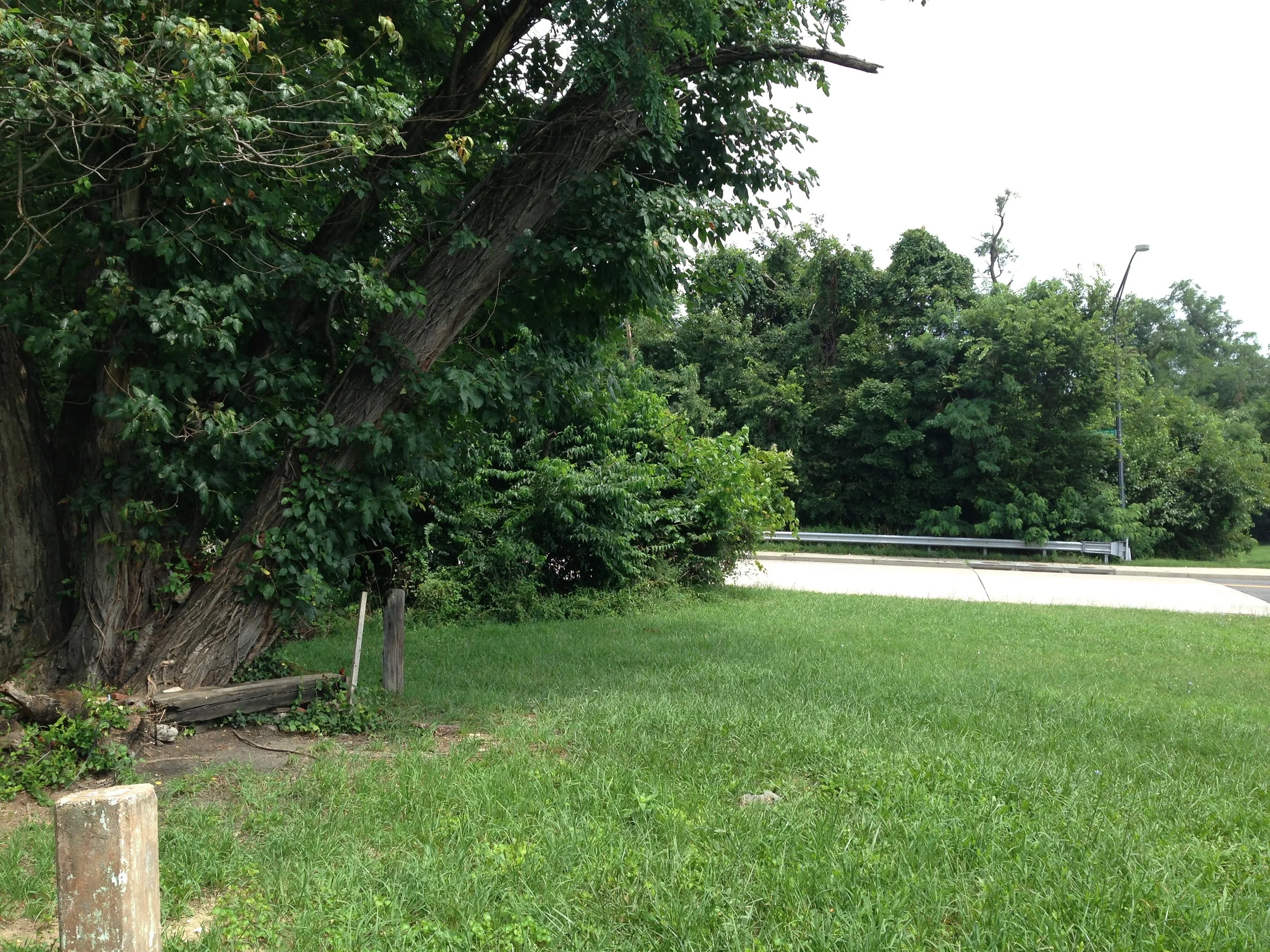    Photo:  Existing Park View  