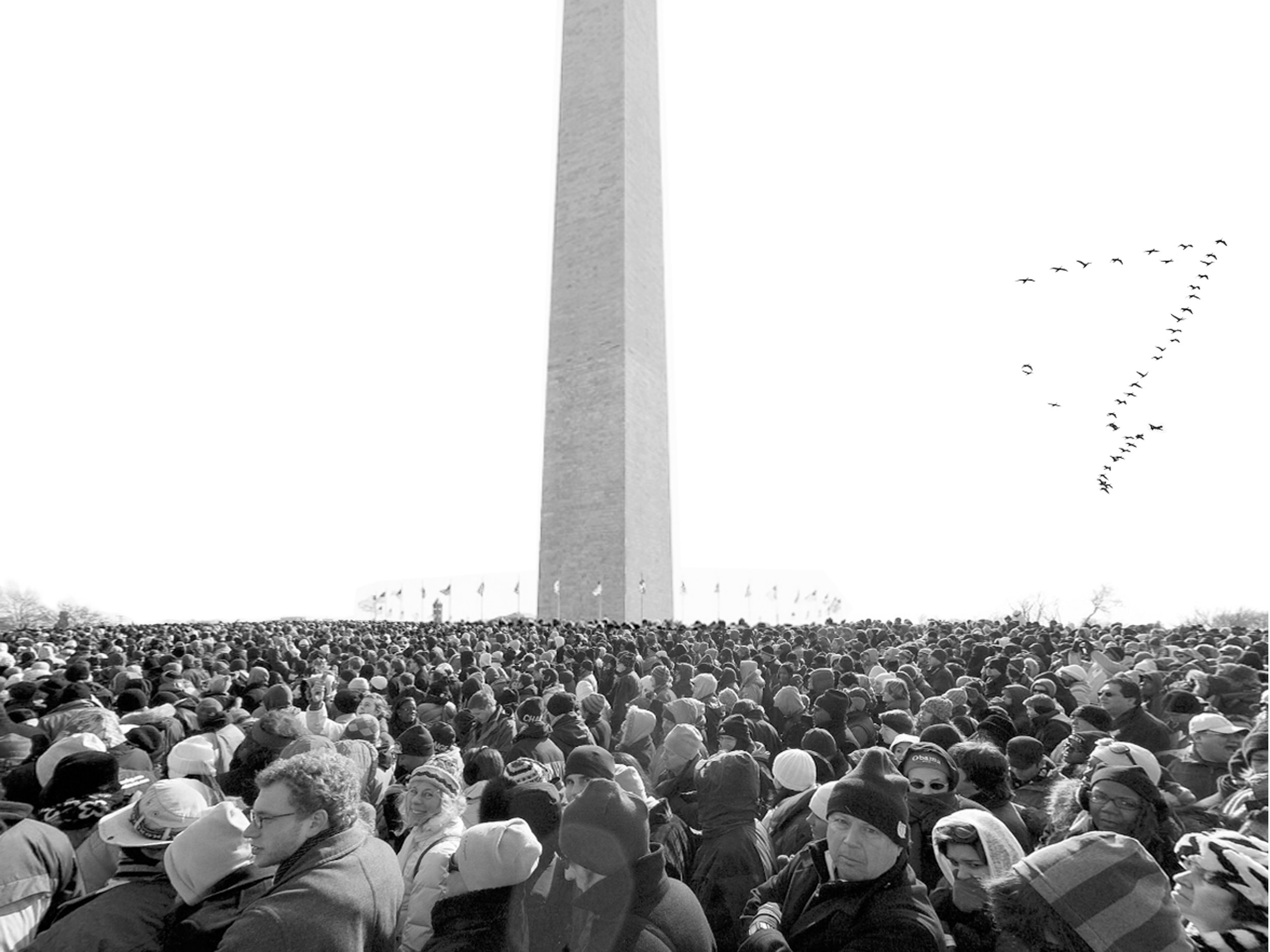 Inaugurate : To take omens from the flight of birds, to consecrate or install after taking such omens or auguries. 